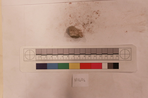 Archaeological Bone Fragment Sample