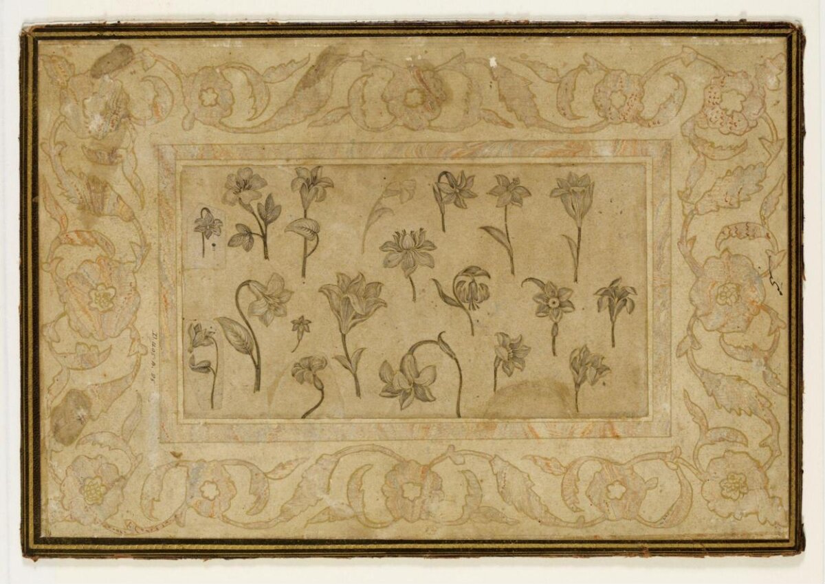Antique Ink Sketch of Various Flowers