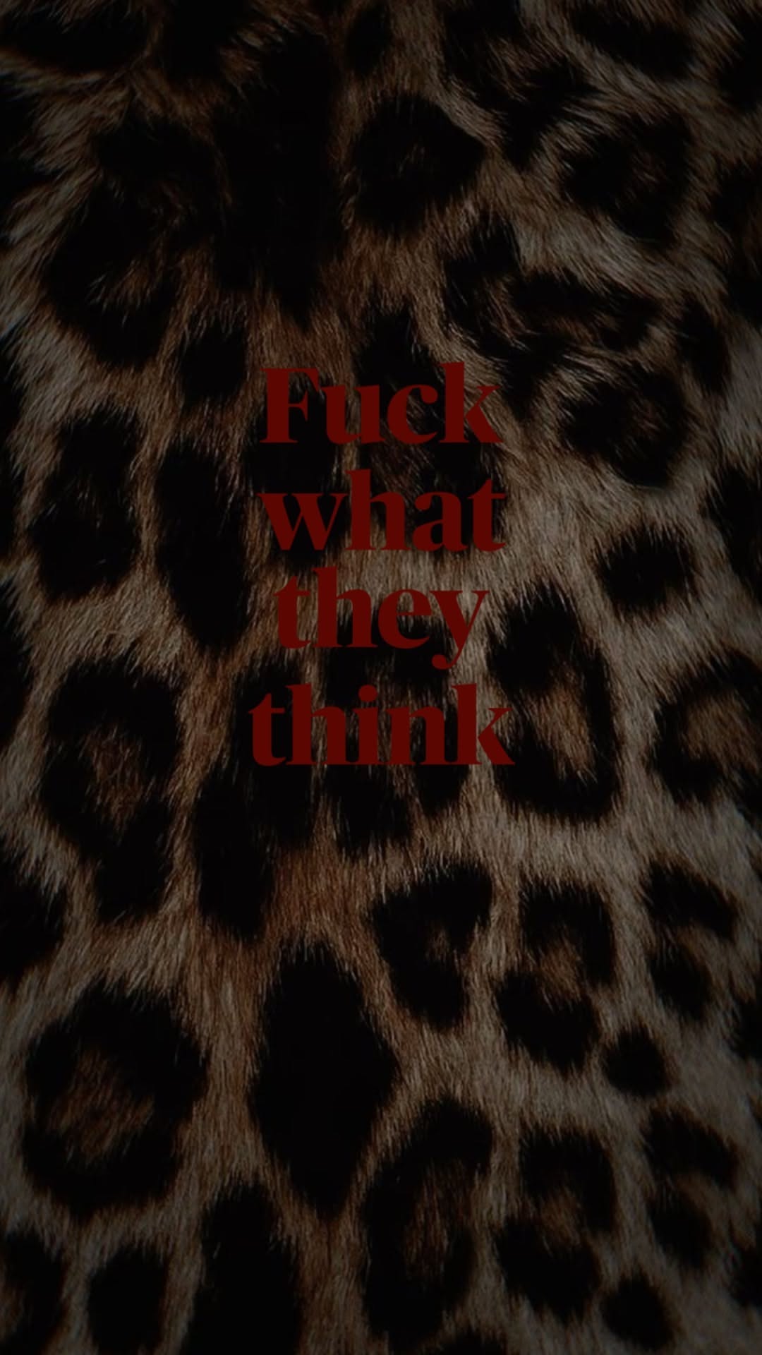 Wallpapers