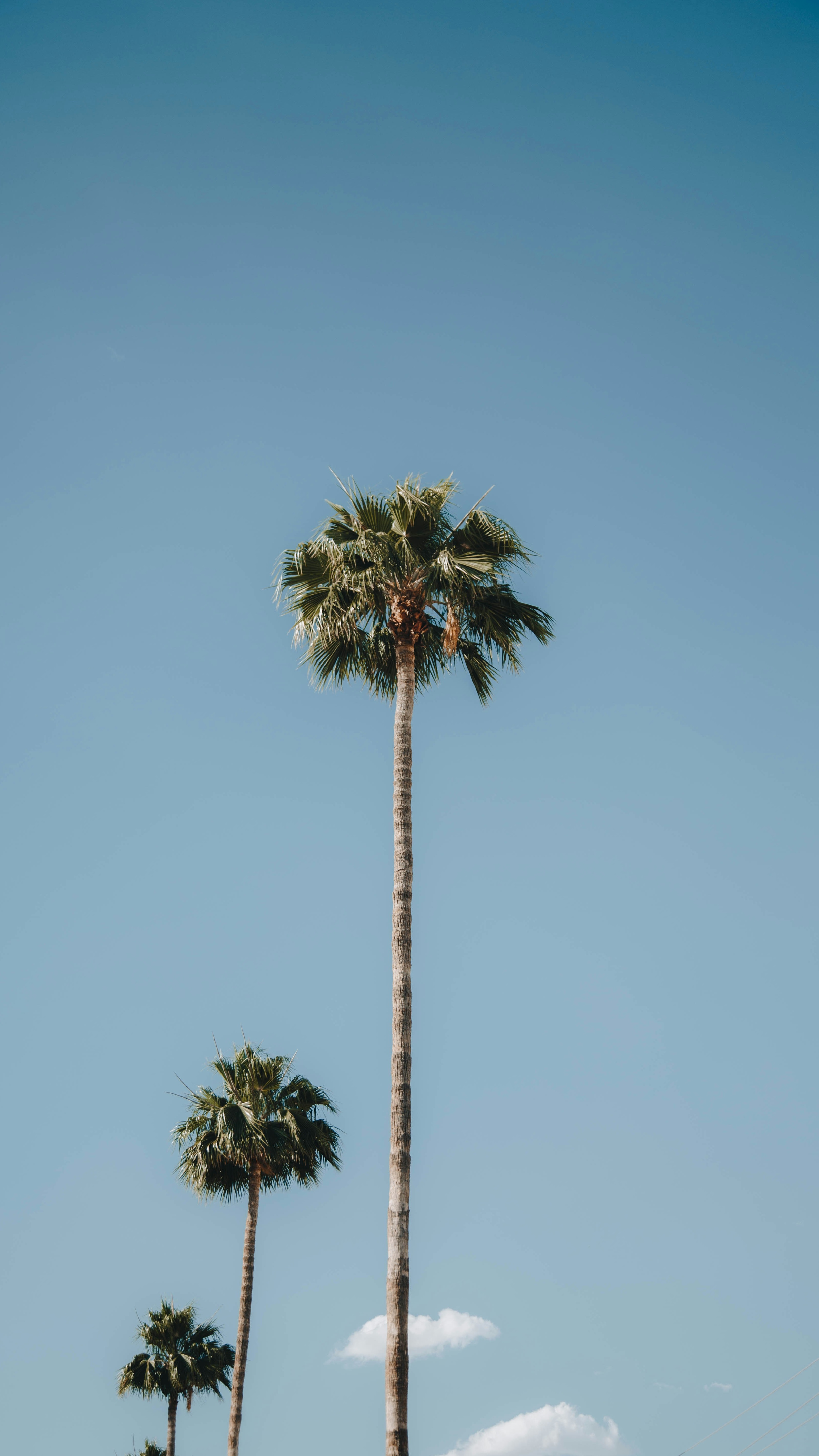 Wallpapers