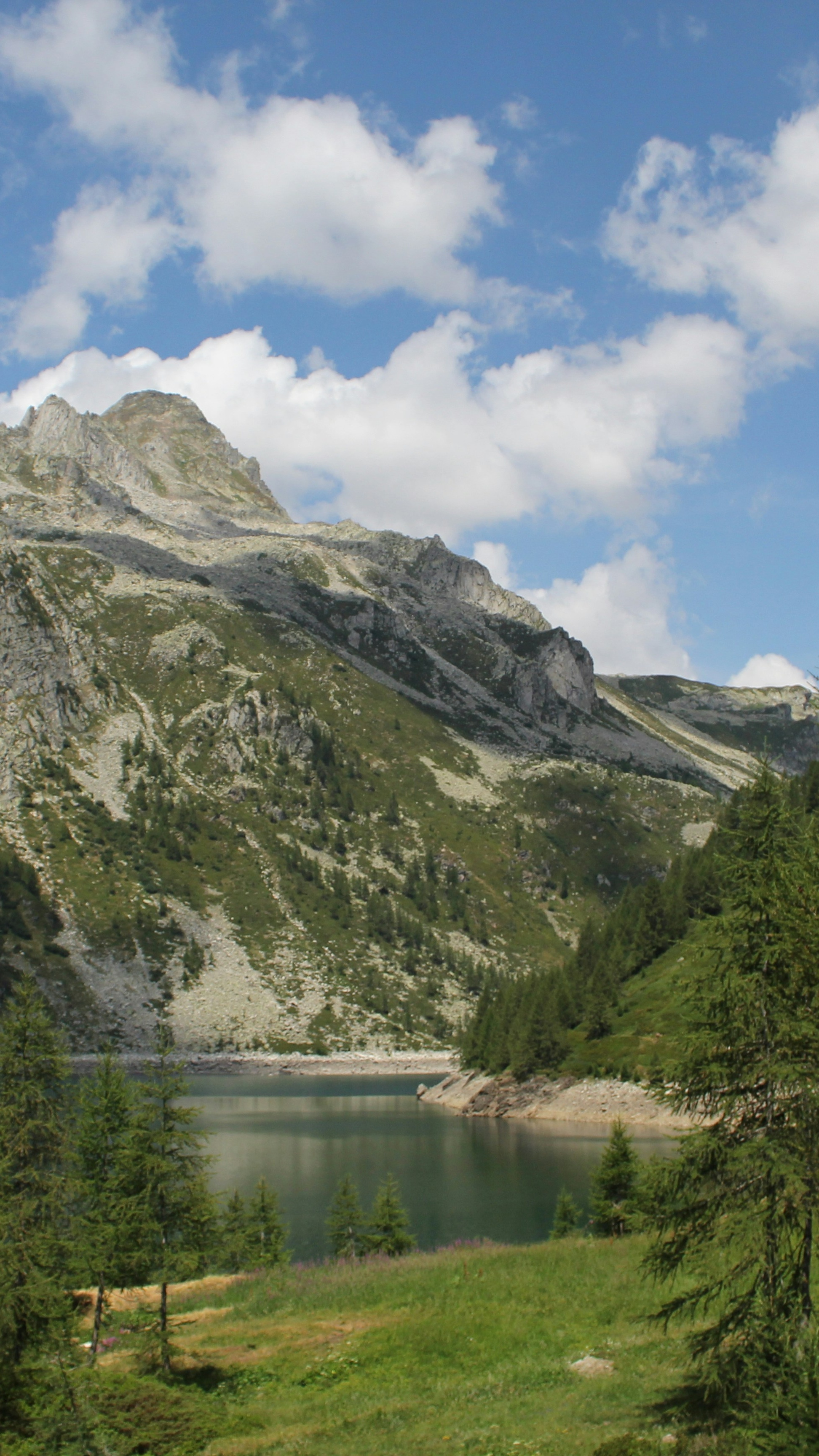 Landscapes