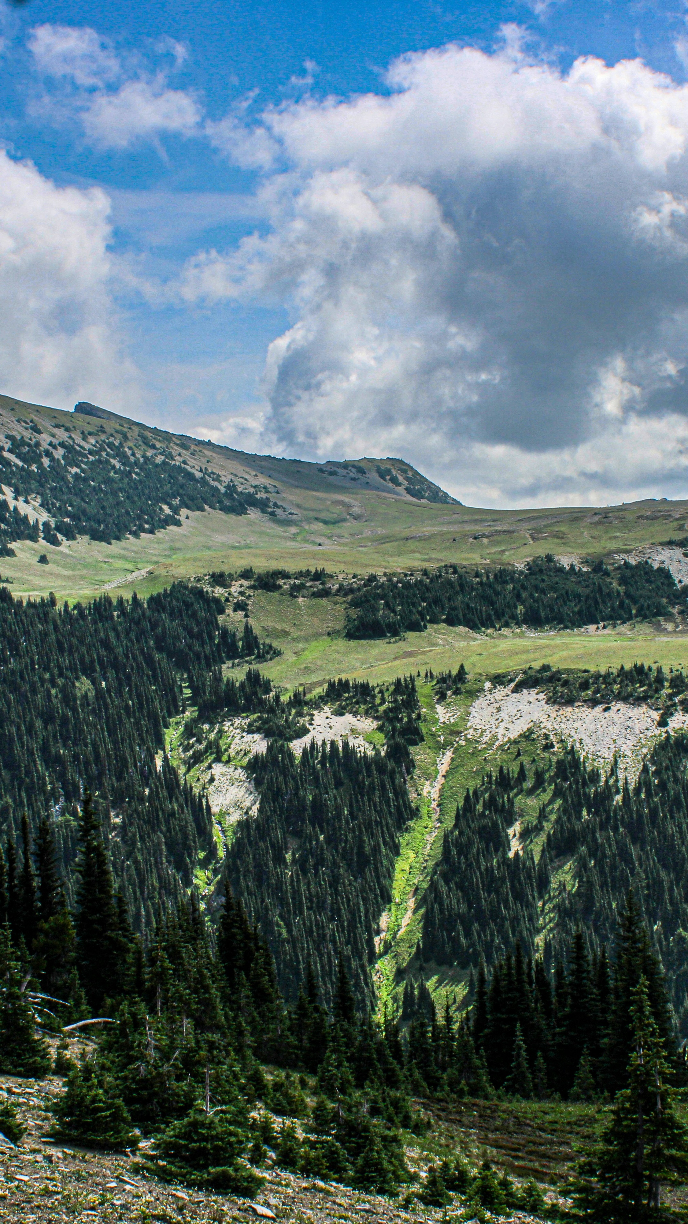 Mountain Forest Valley Landscape