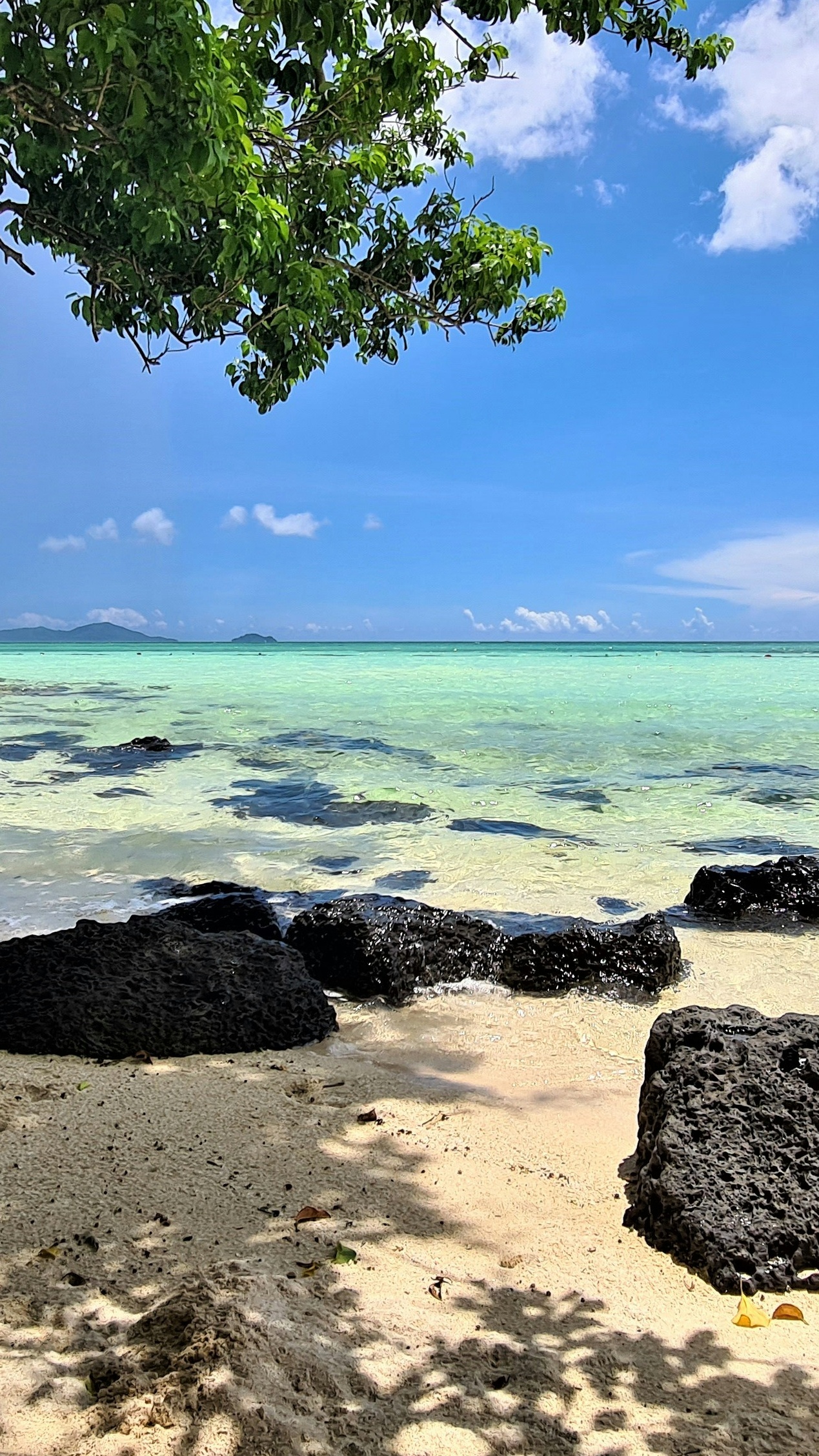 Tropical Beach Seascape