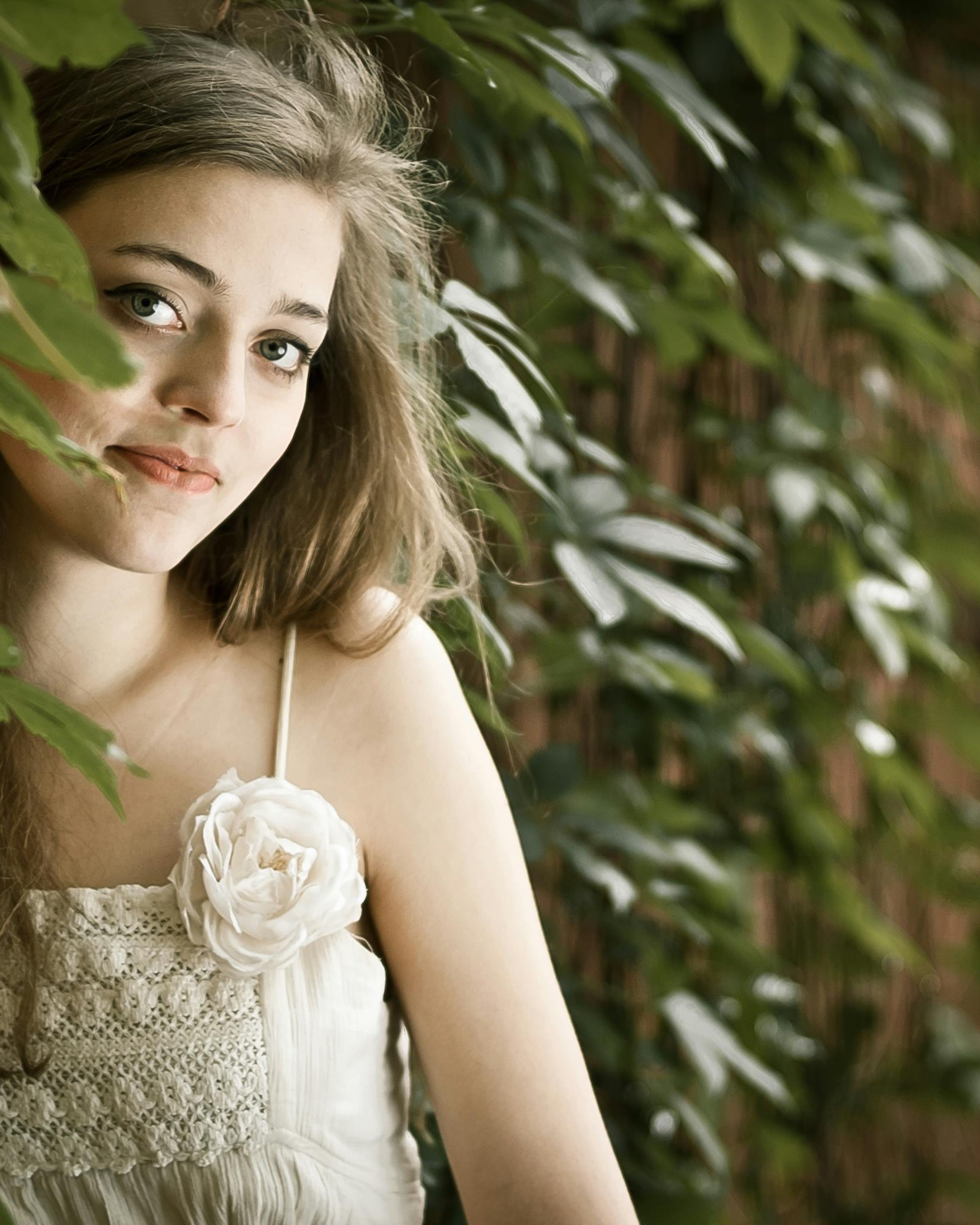 Forest & Flora