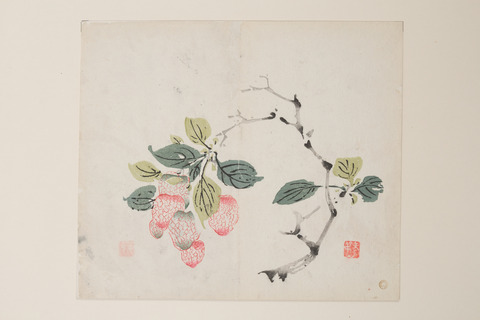Chinese Ink Painting of Lychees