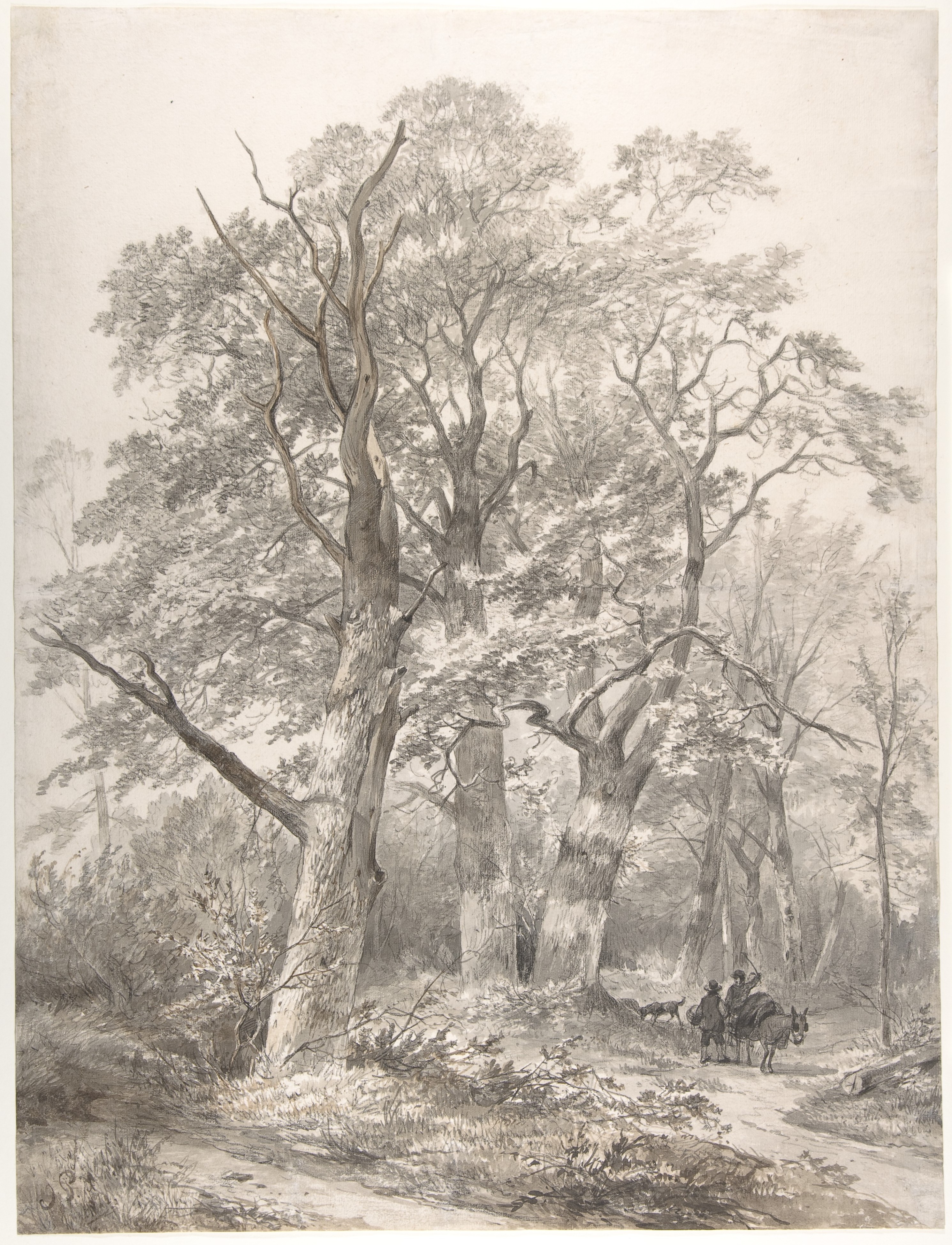 Forest Path with Travelers Sketch