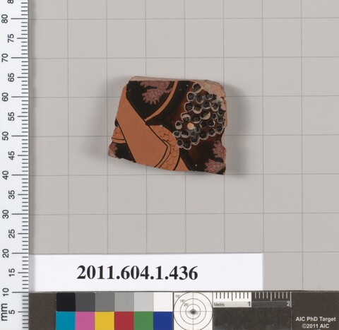 Ancient Pottery Fragment Specimen
