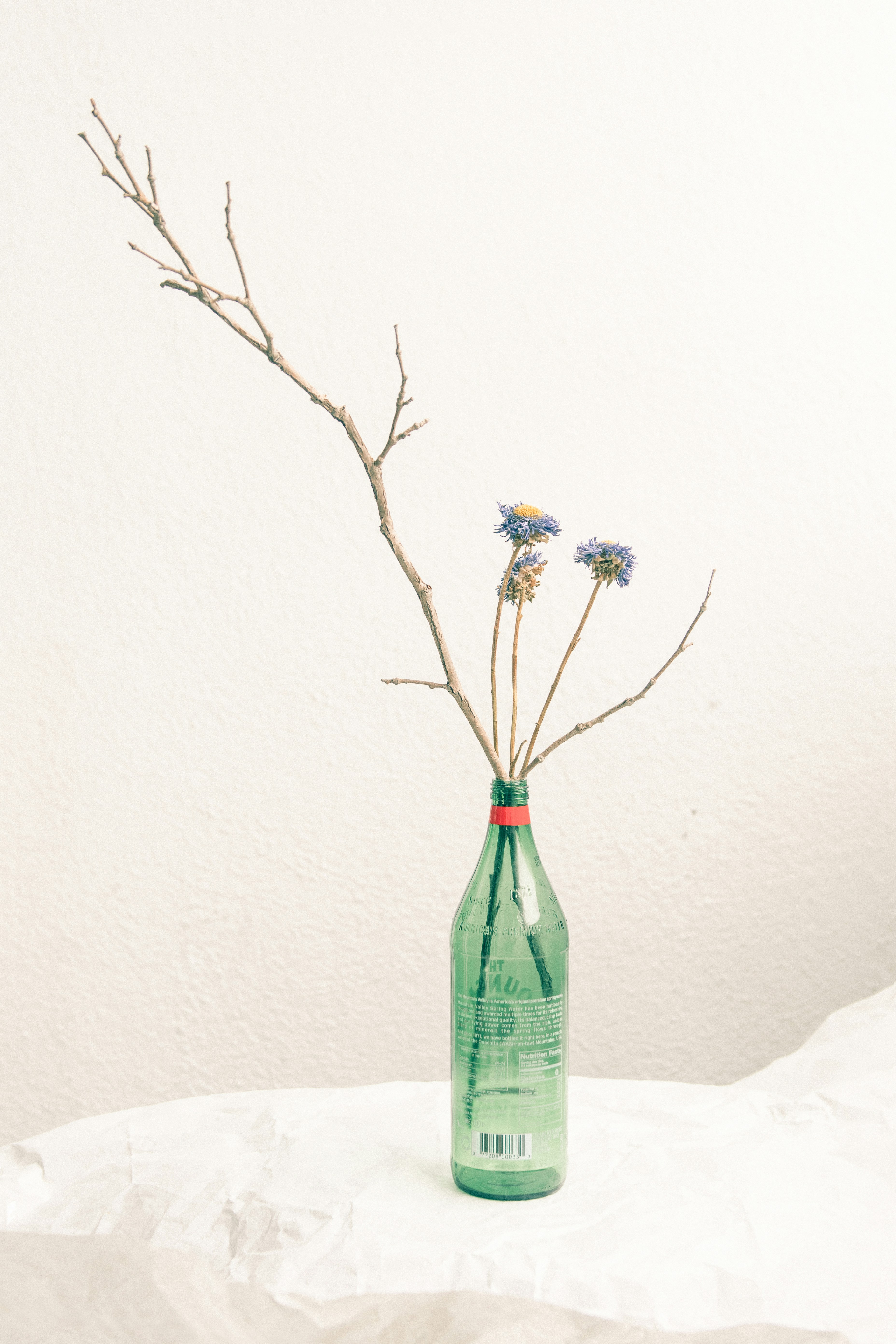 Dried Flowers and Branches in Green Bottle