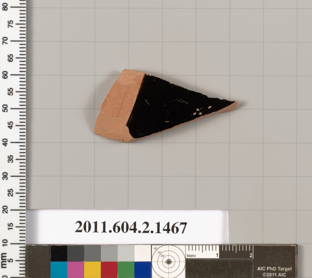 Archaeological Pottery Shard Specimen