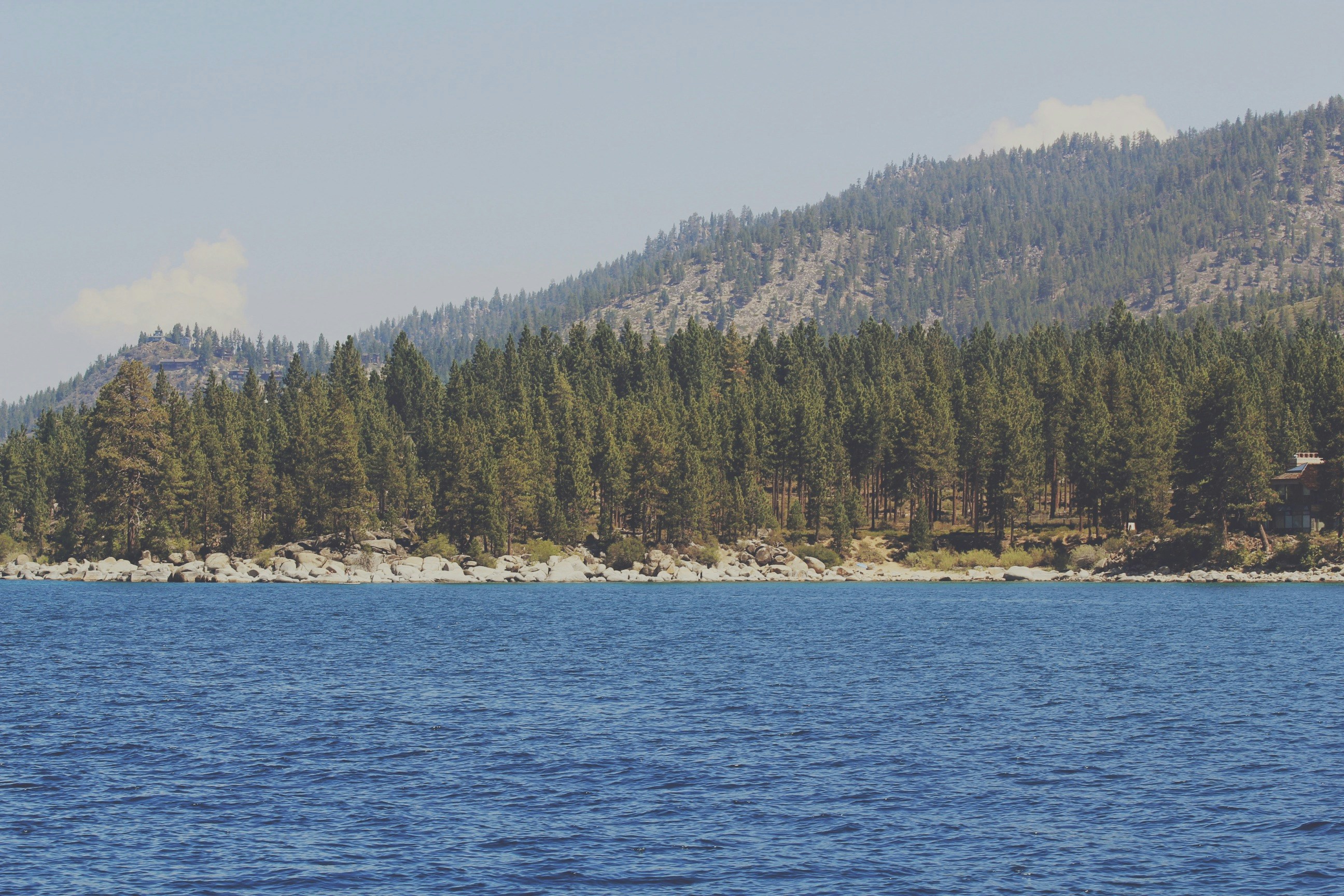 Forested Mountain Lake Shore