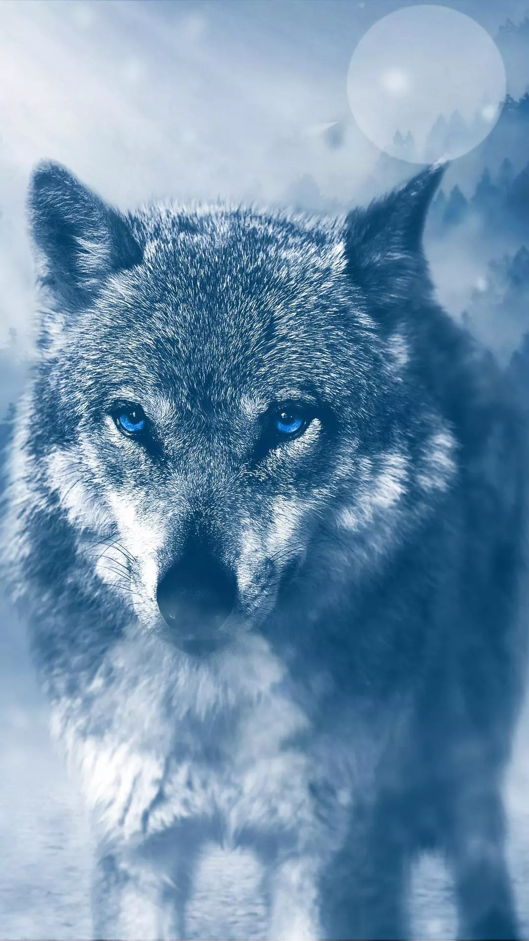 Wallpapers