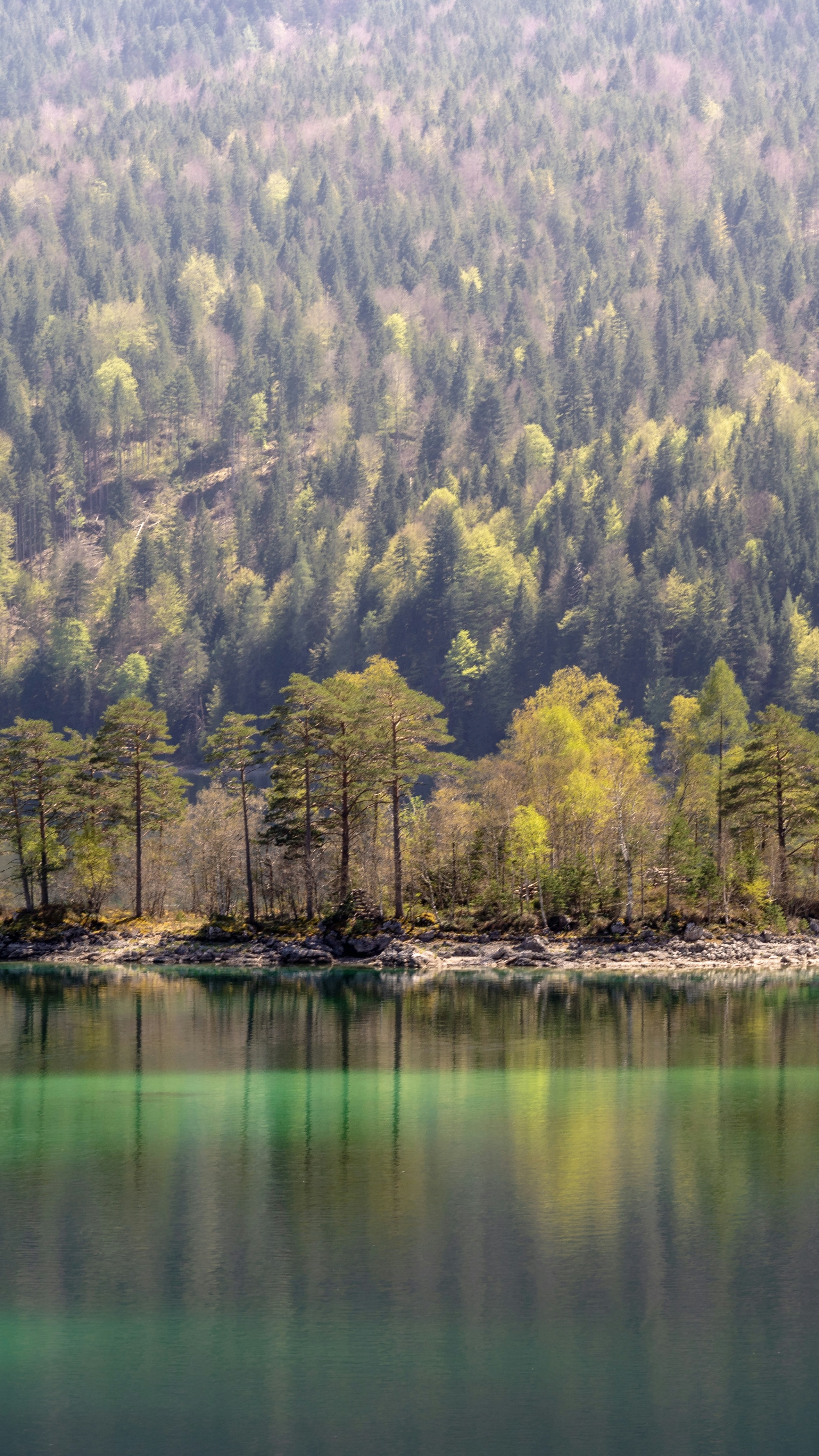 Mountain Lake Forest Reflection