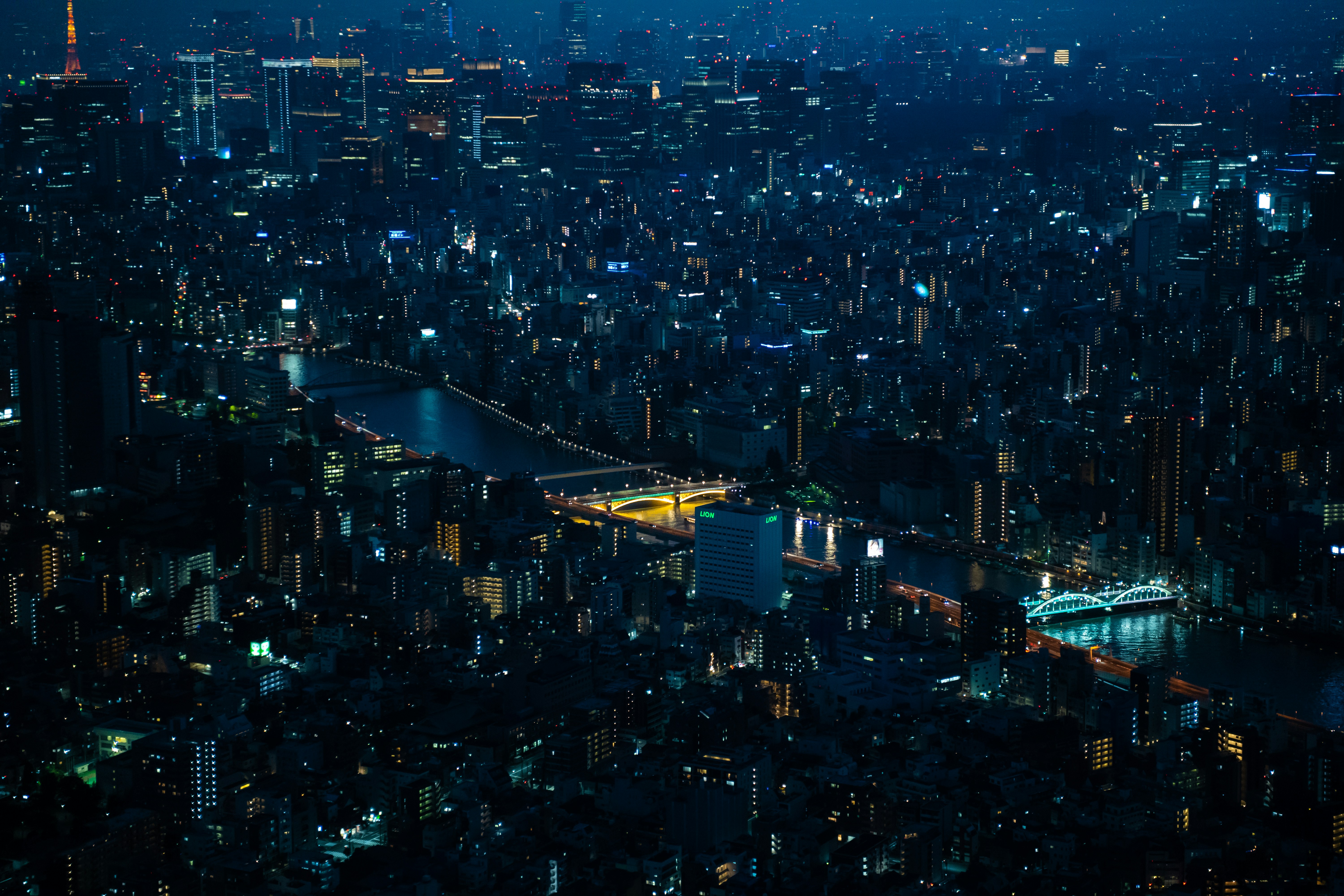 Tokyo City Night View
