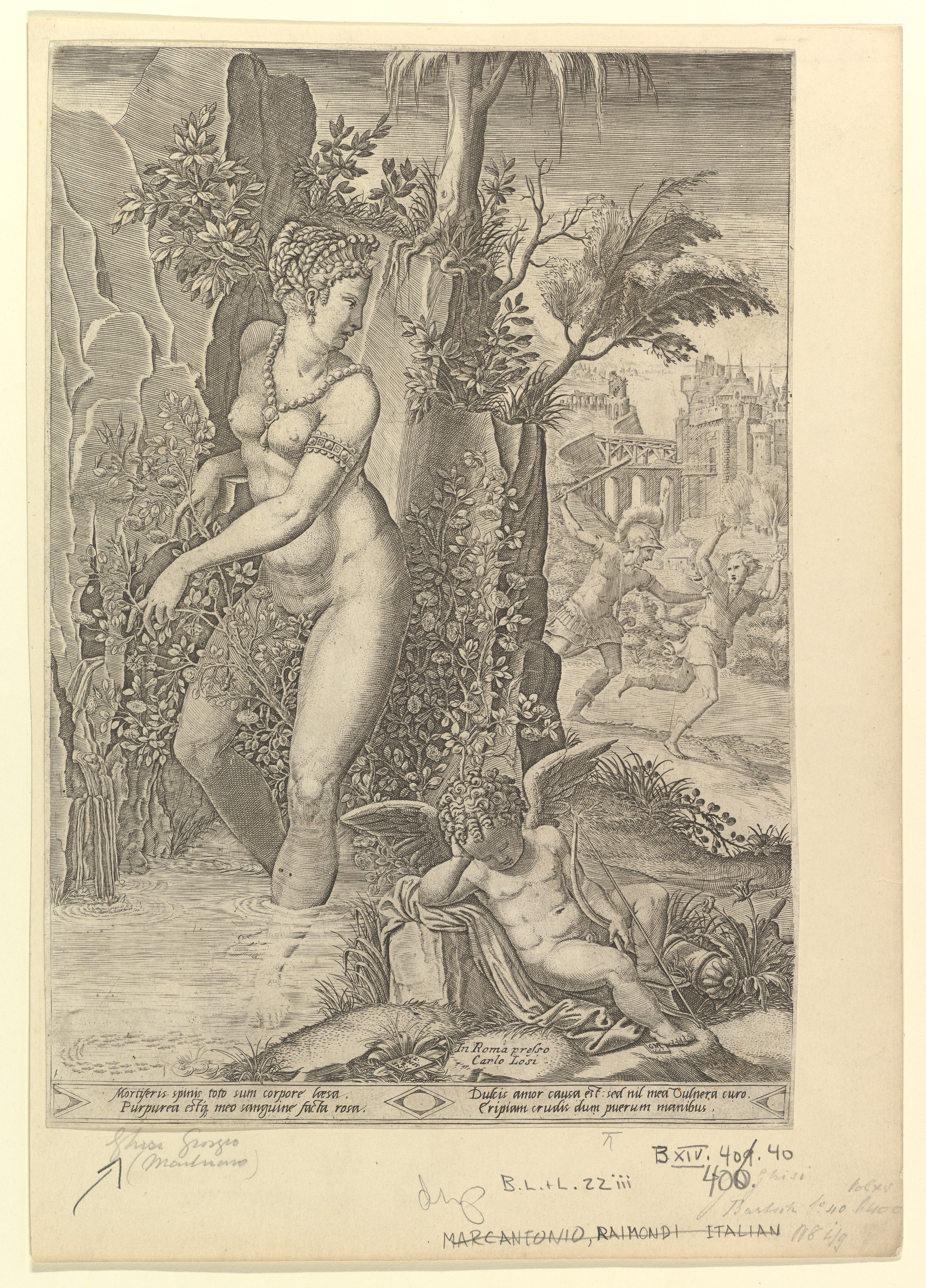 Venus and Cupid Renaissance Engraving