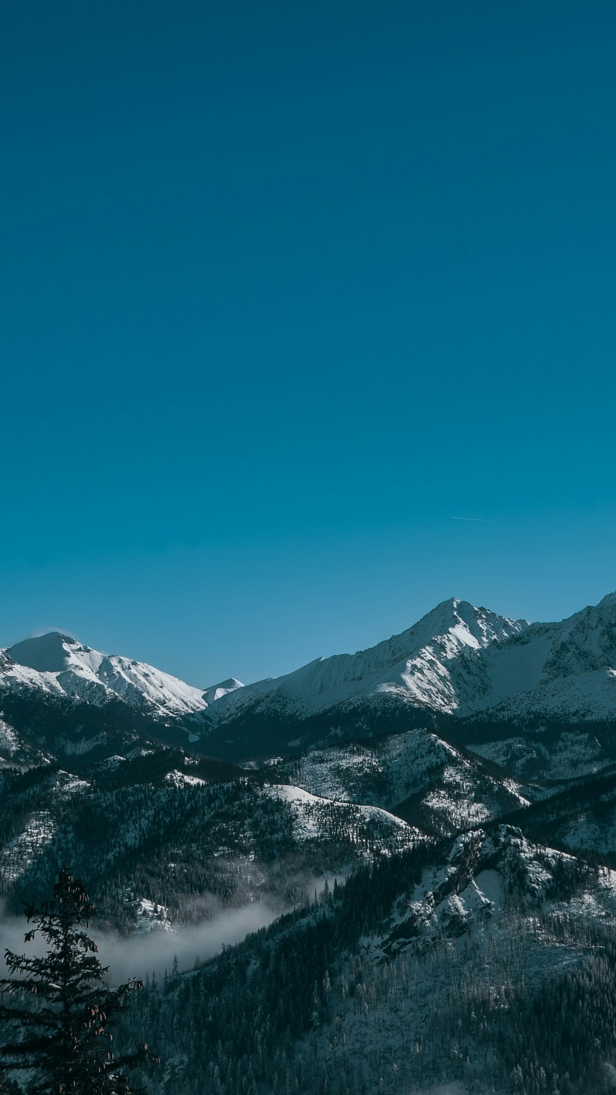 Wallpapers