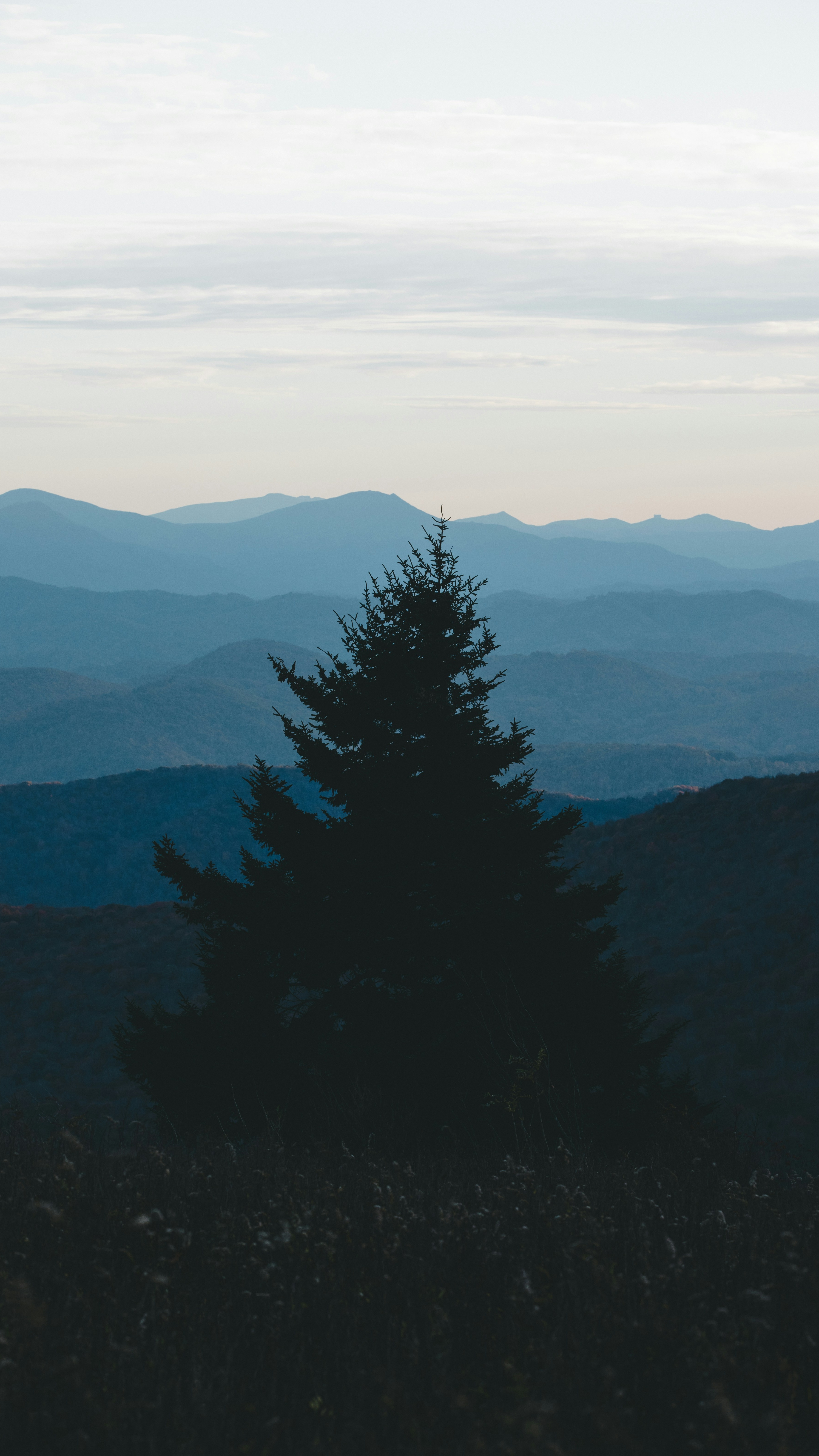 Landscapes