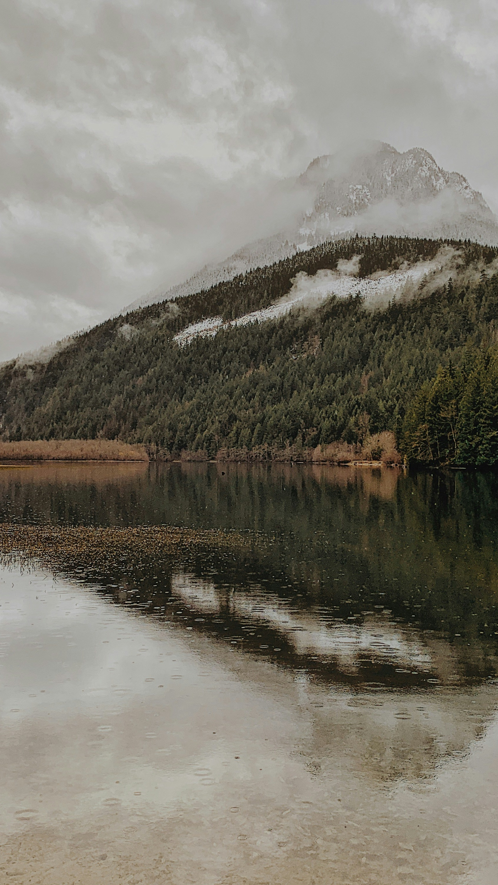 Landscapes