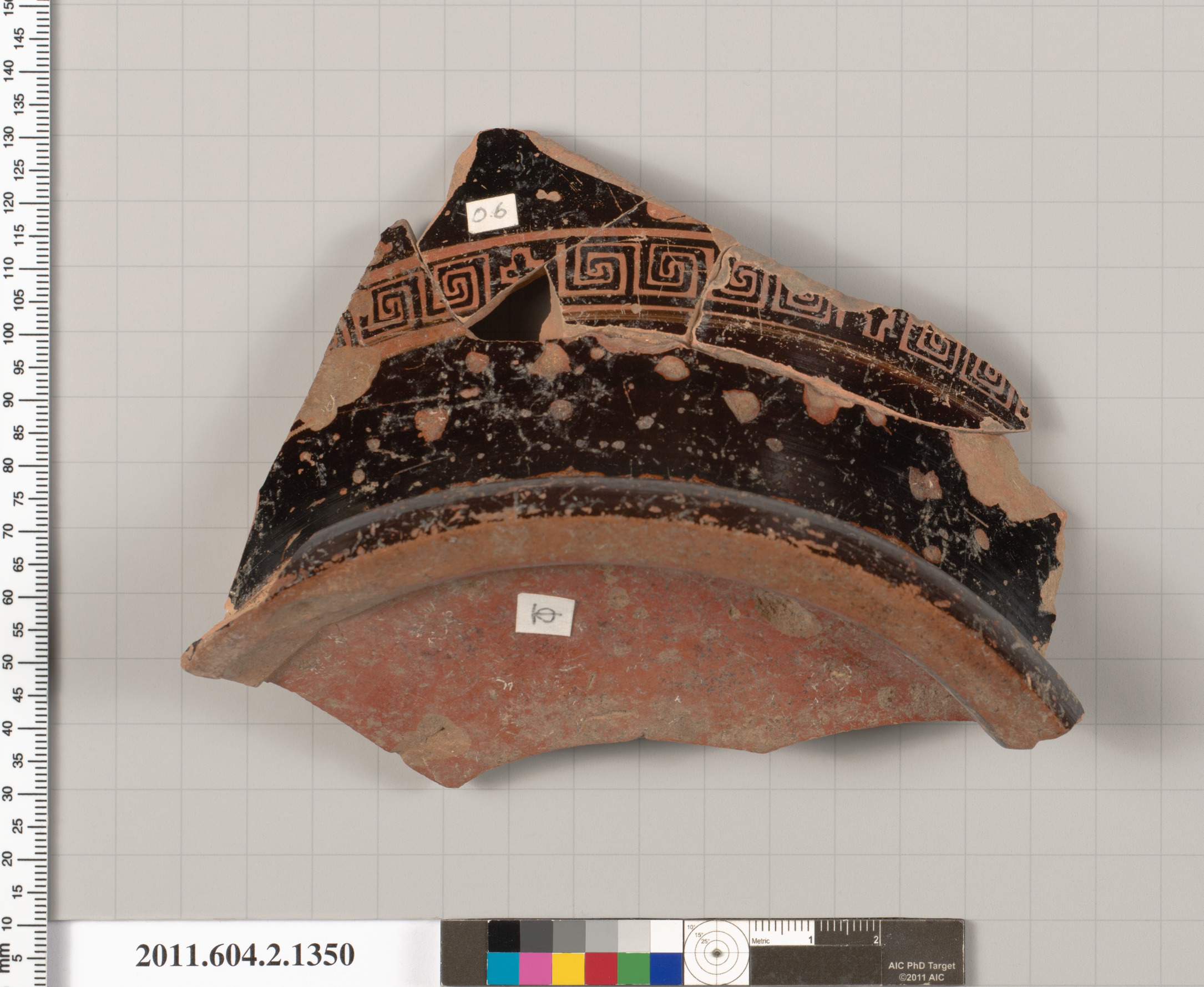 Ancient Pottery Rim Fragment