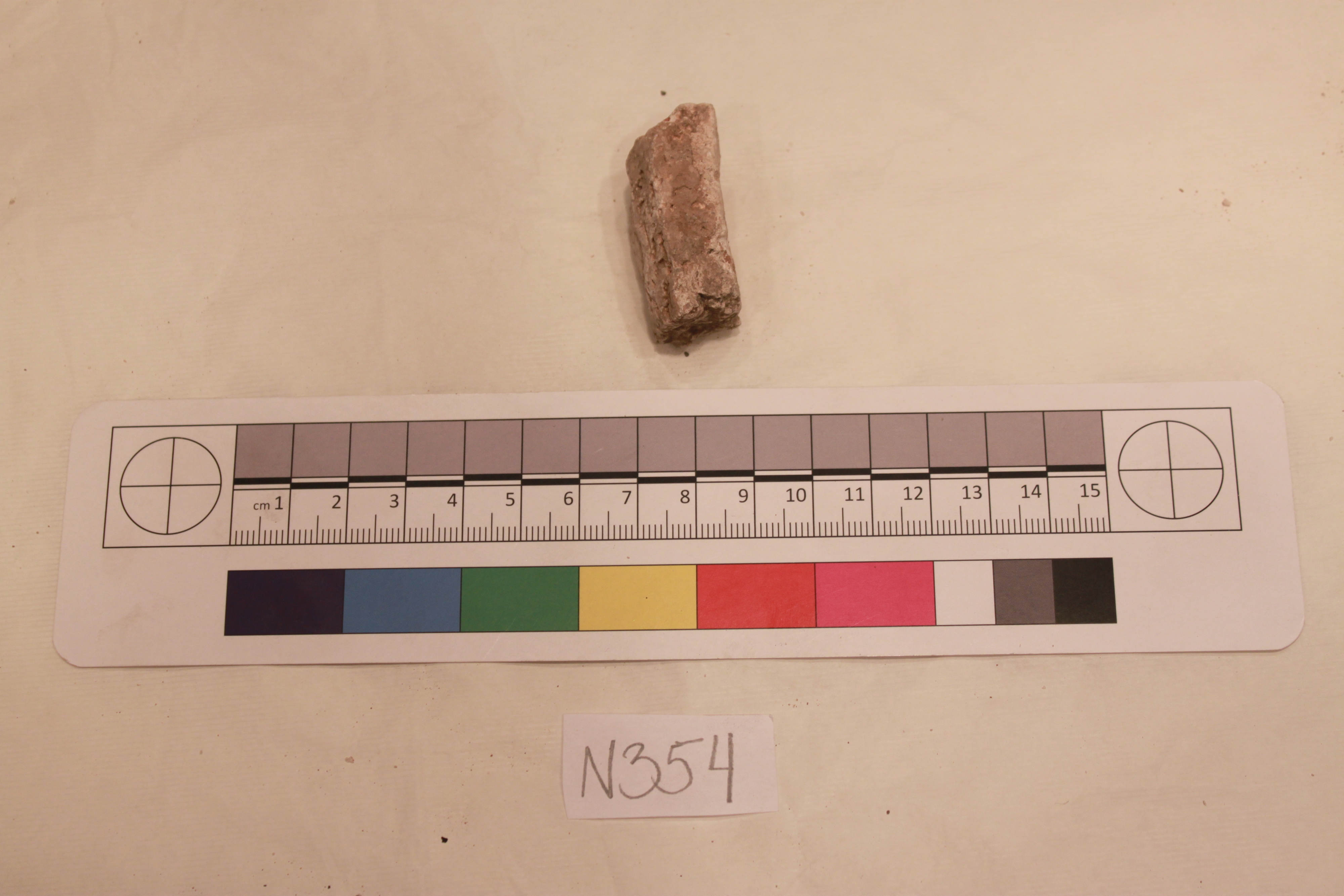 Archaeological Bone Fragment Specimen