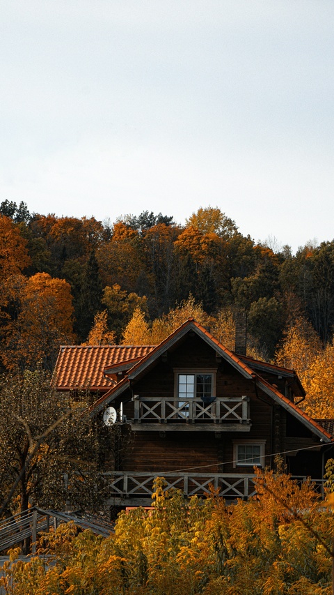 Wooden Cabin in Autumn Forest