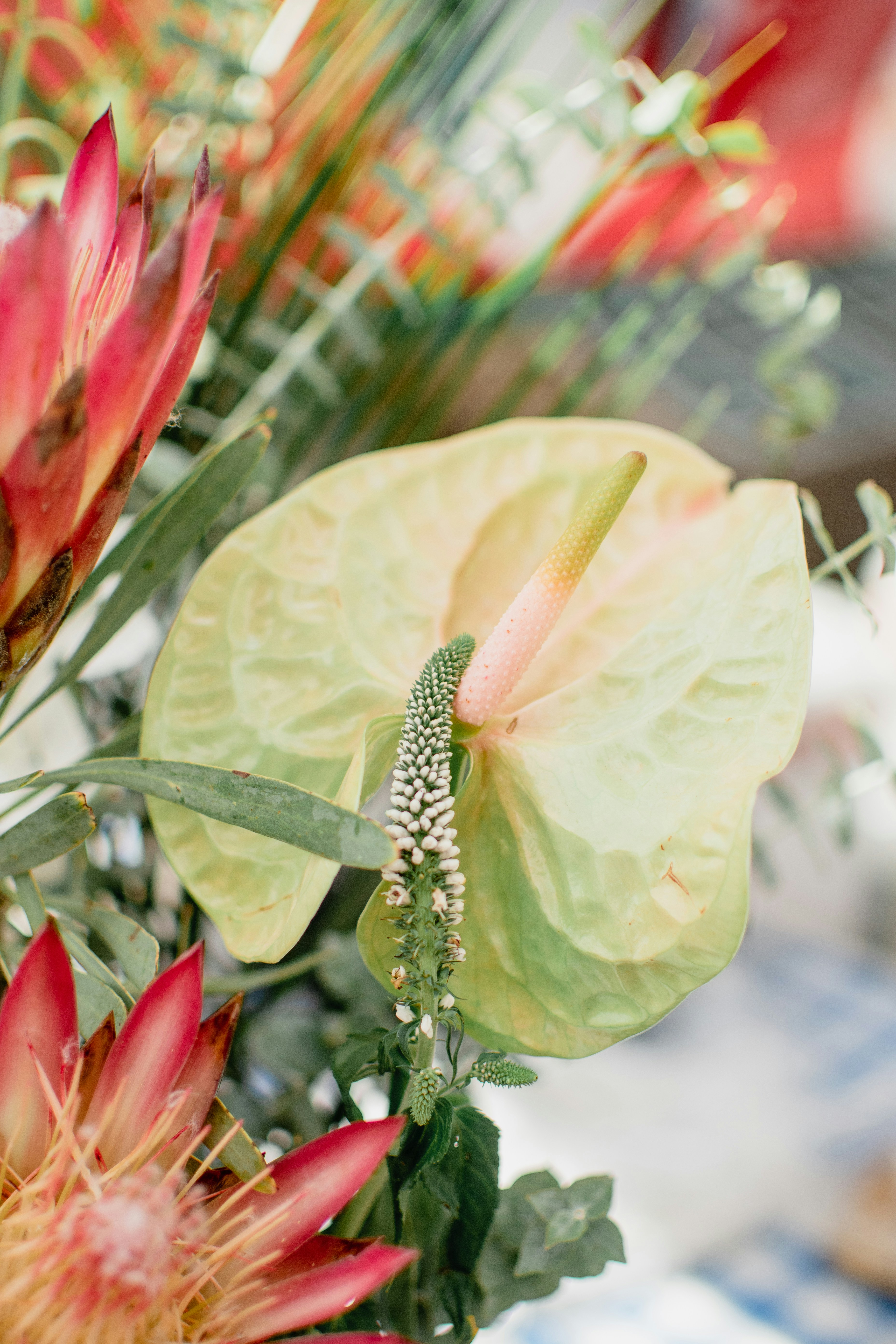 Close-up of Mixed Flower Arrangement