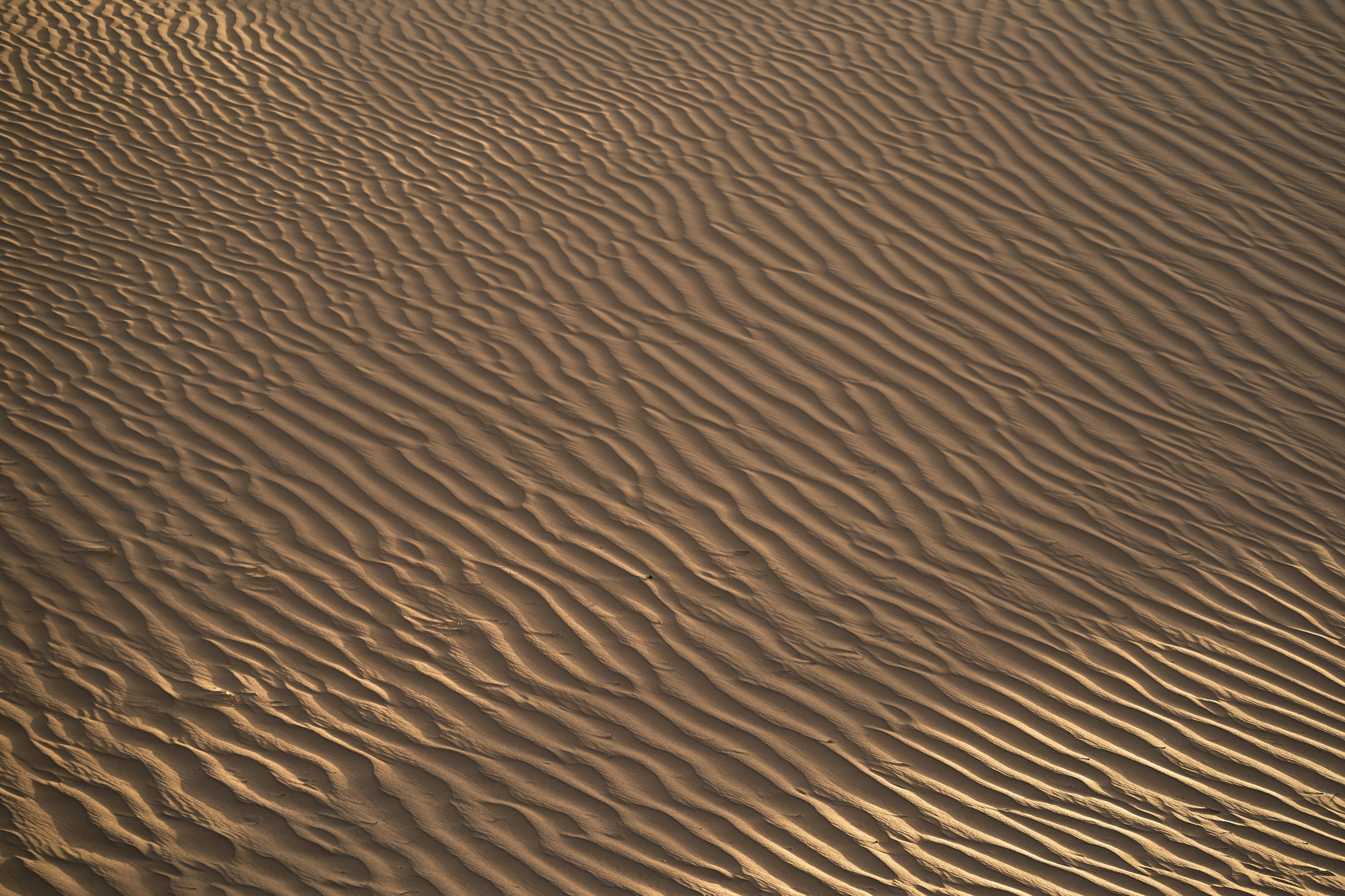 Wind Rippled Desert Sand Surface