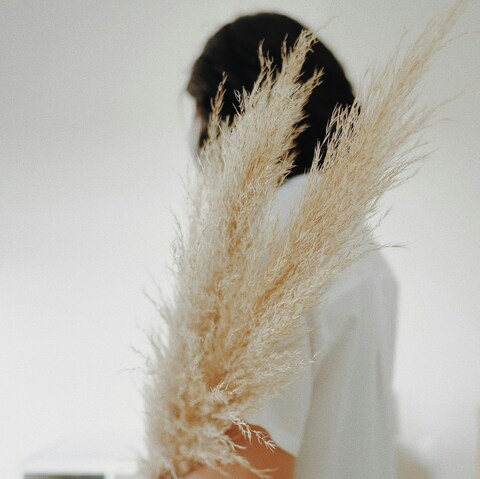 Person Holding Dried Pampas Grass