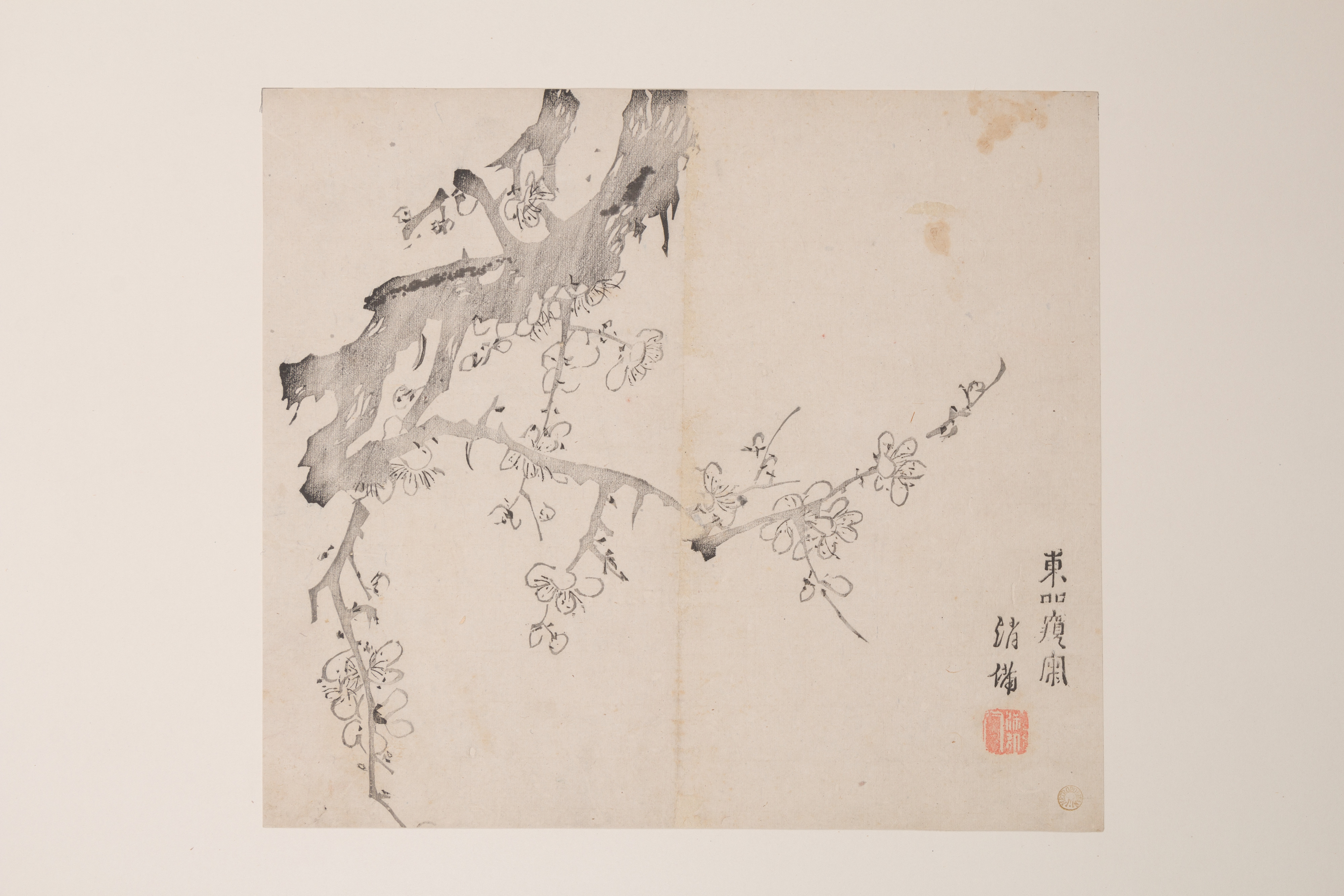 Ink Plum Blossom Painting