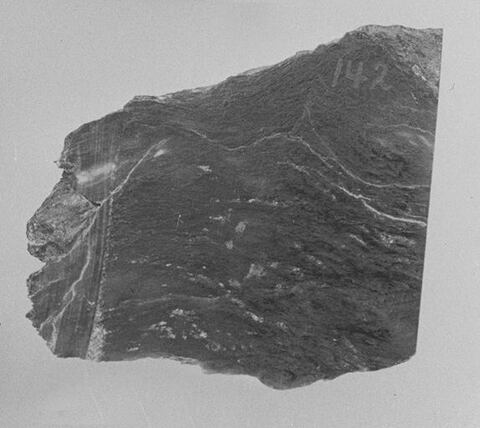 Grayscale Slate Rock Specimen