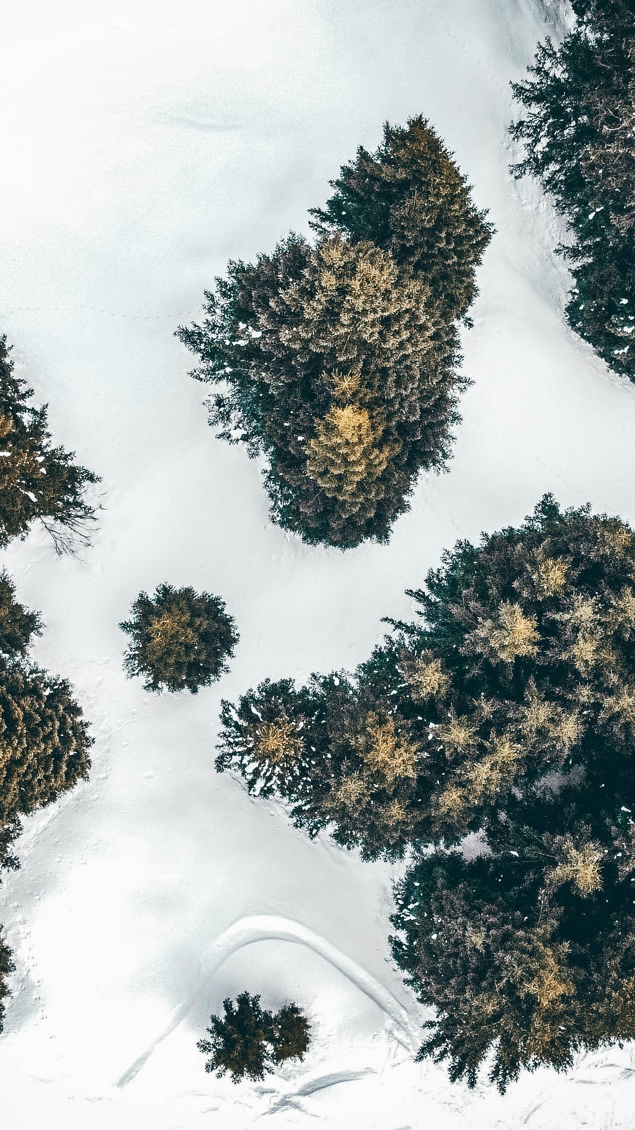 Wallpapers