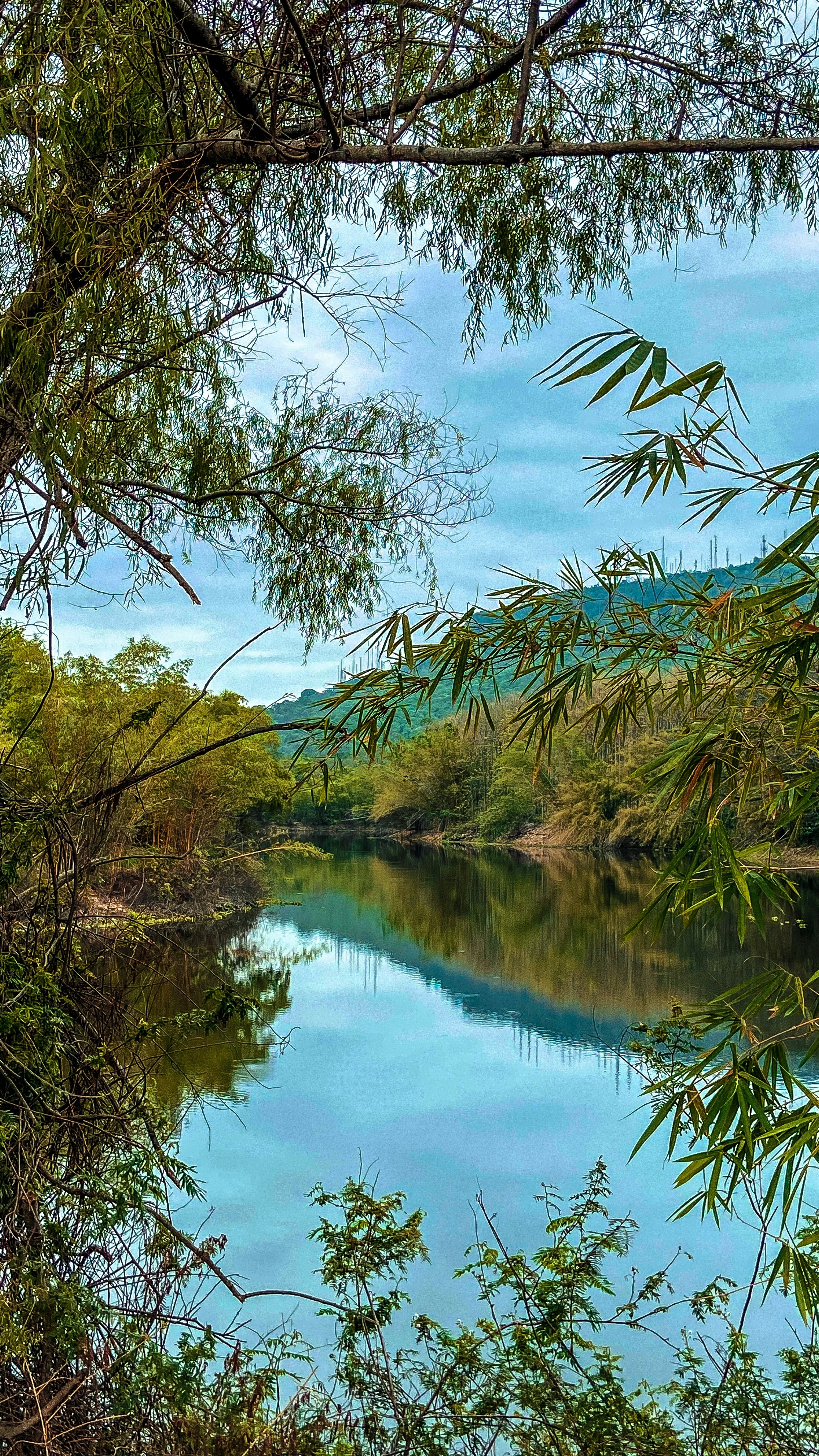 Landscapes