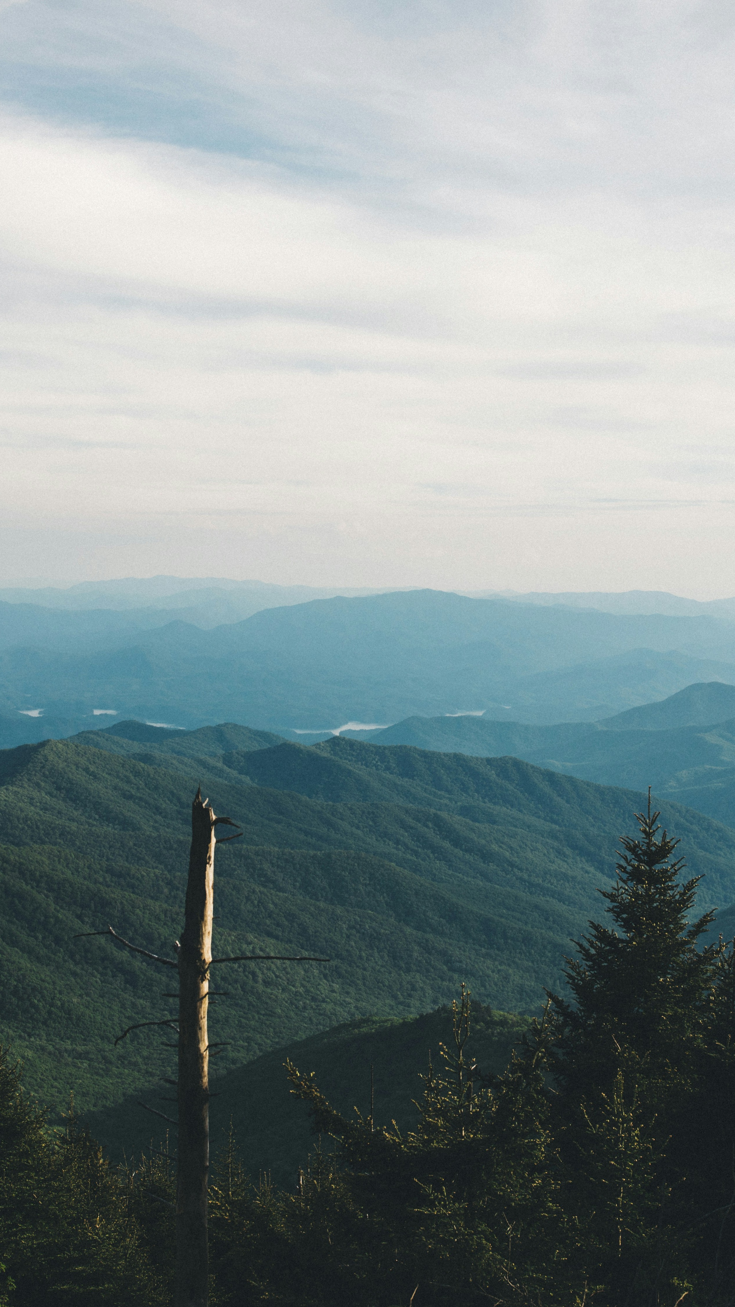 Layered Forested Mountain View