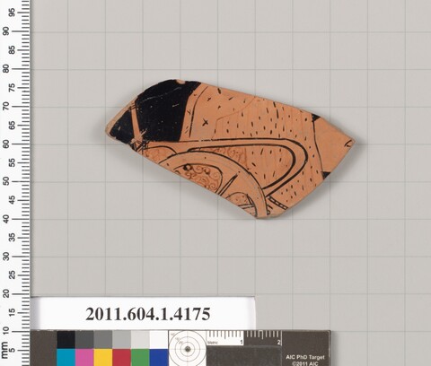 Ancient Terracotta Pottery Fragment