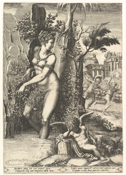 Venus Gathering Roses with Cupid