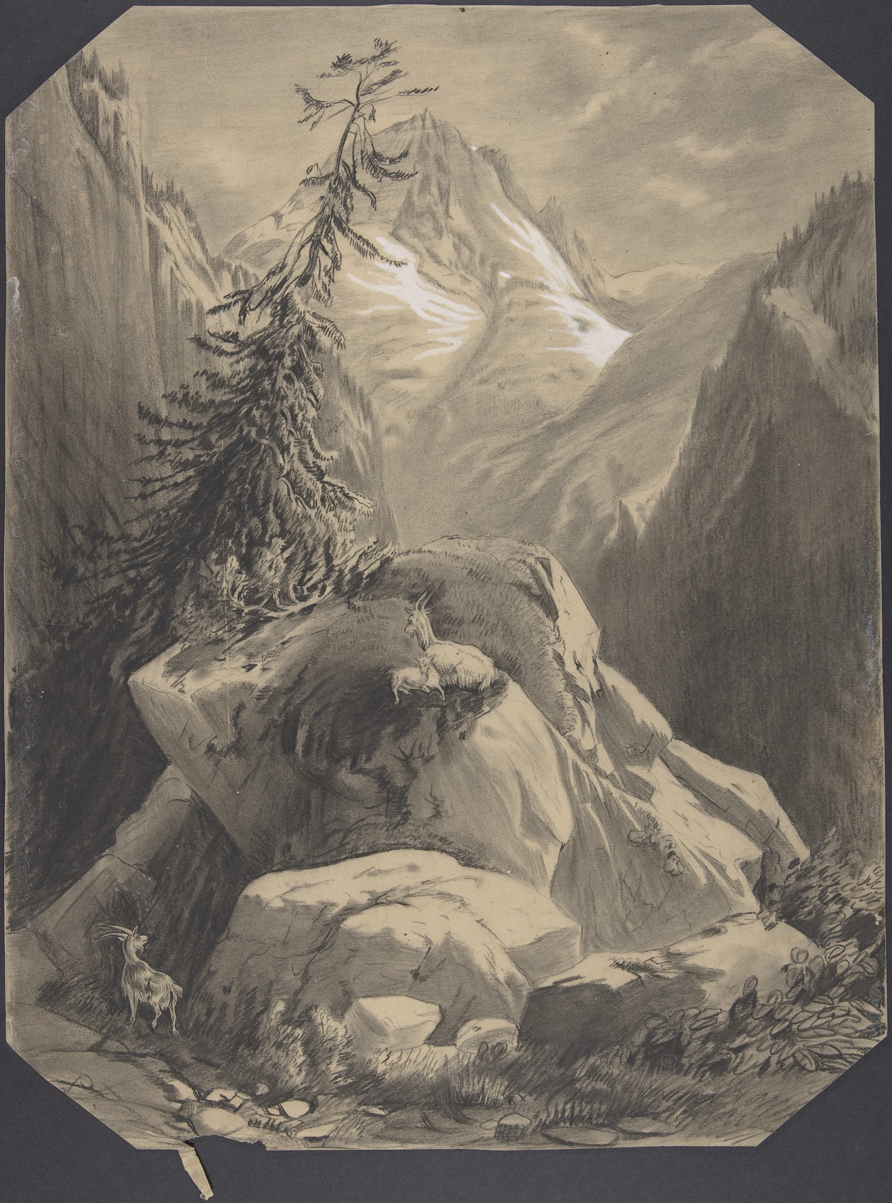 Alpine Valley Sketch with Mountain Goats