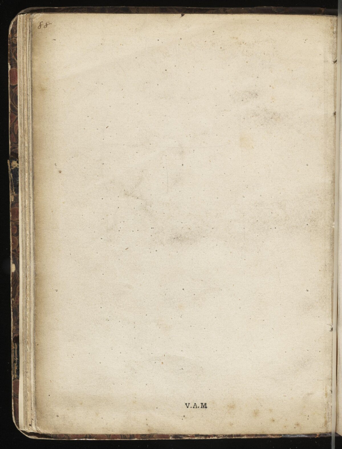 Blank Endpaper of an Antique Book