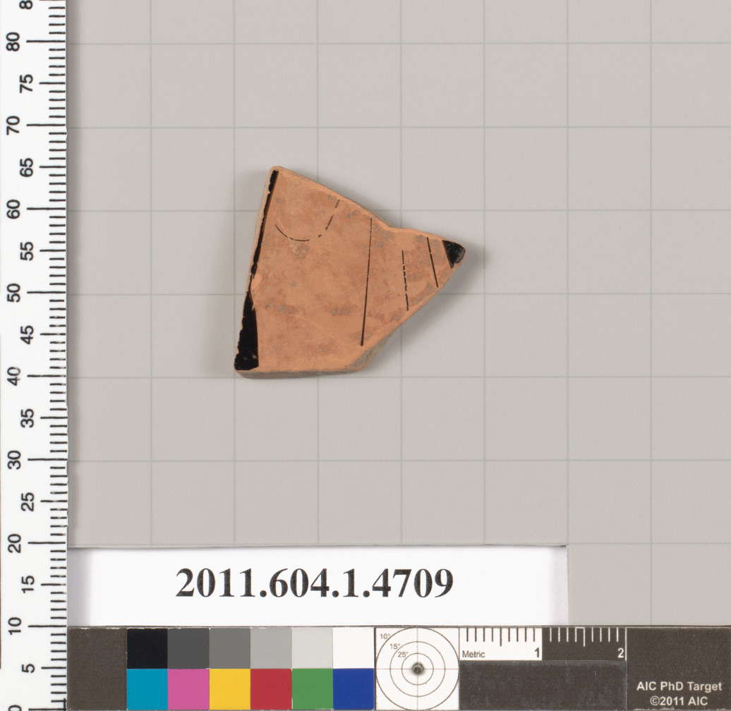 Ancient Pottery Fragment Specimen