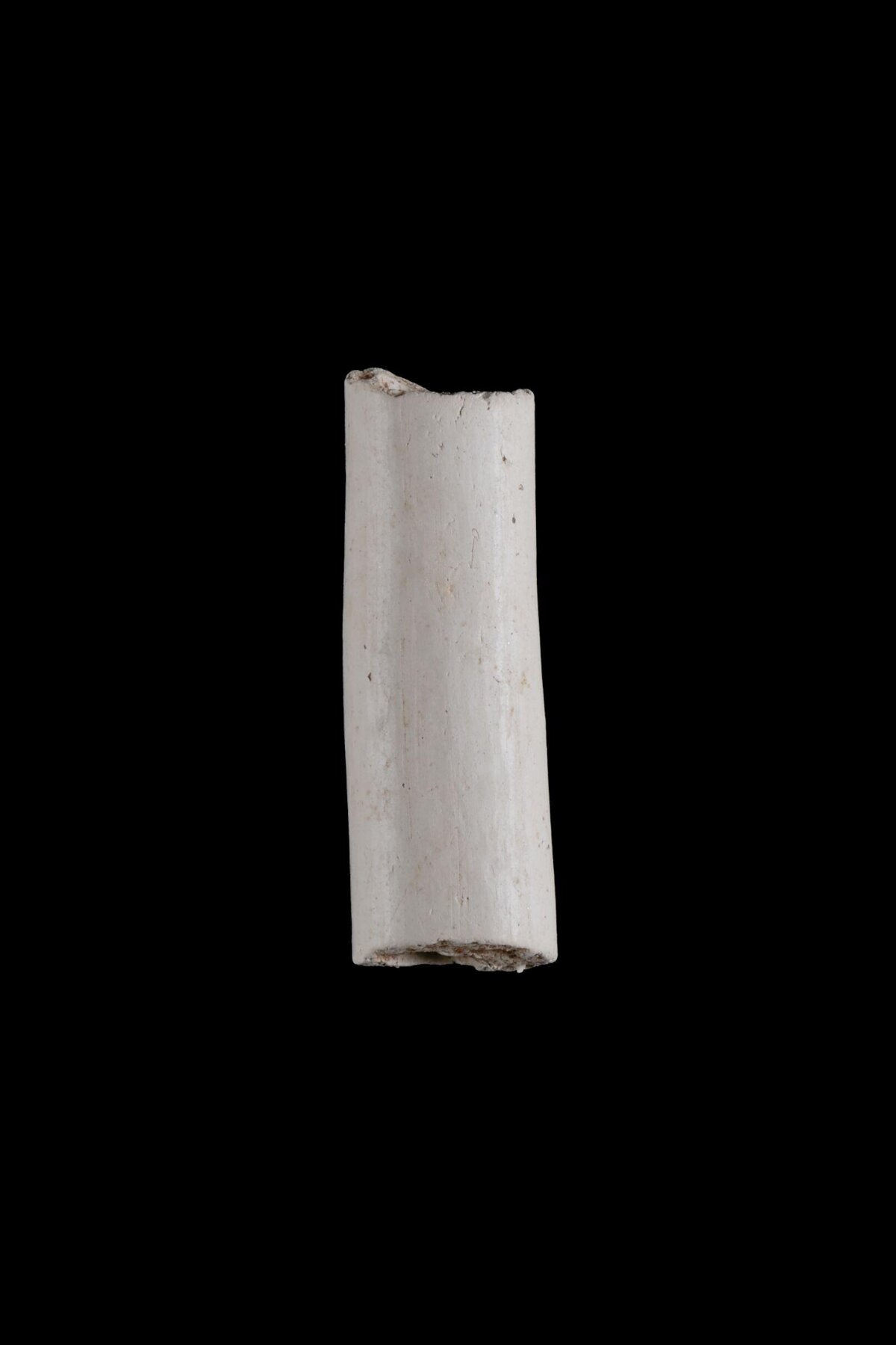 White Cylindrical Bone Fragment