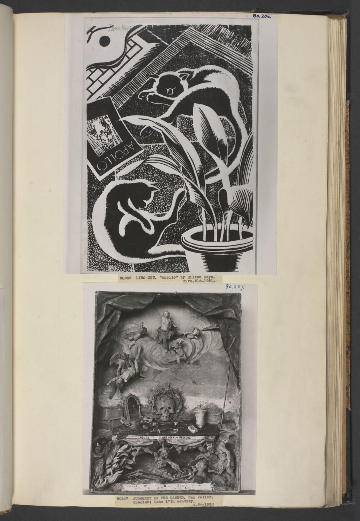 Two Artwork Photos on Album Page