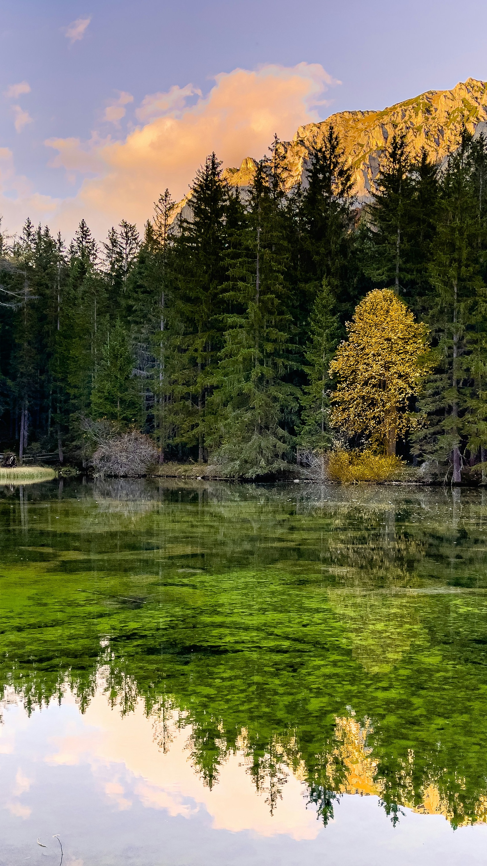 Wallpapers