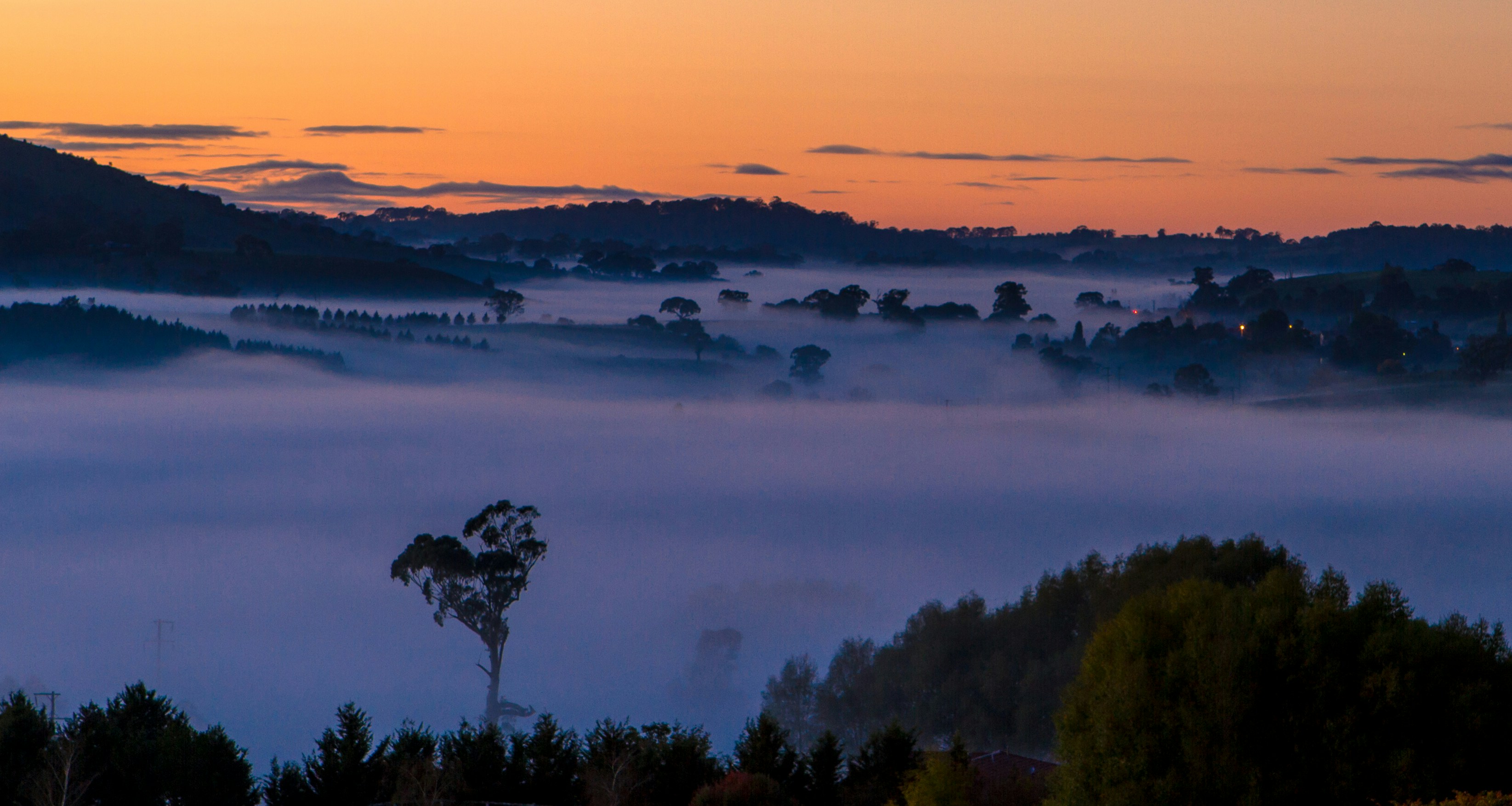 Dawn Foggy Valley Landscape