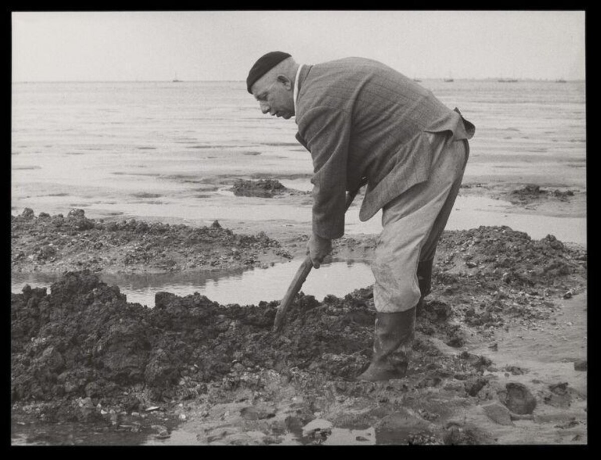 Man Digging on Intertidal Shore