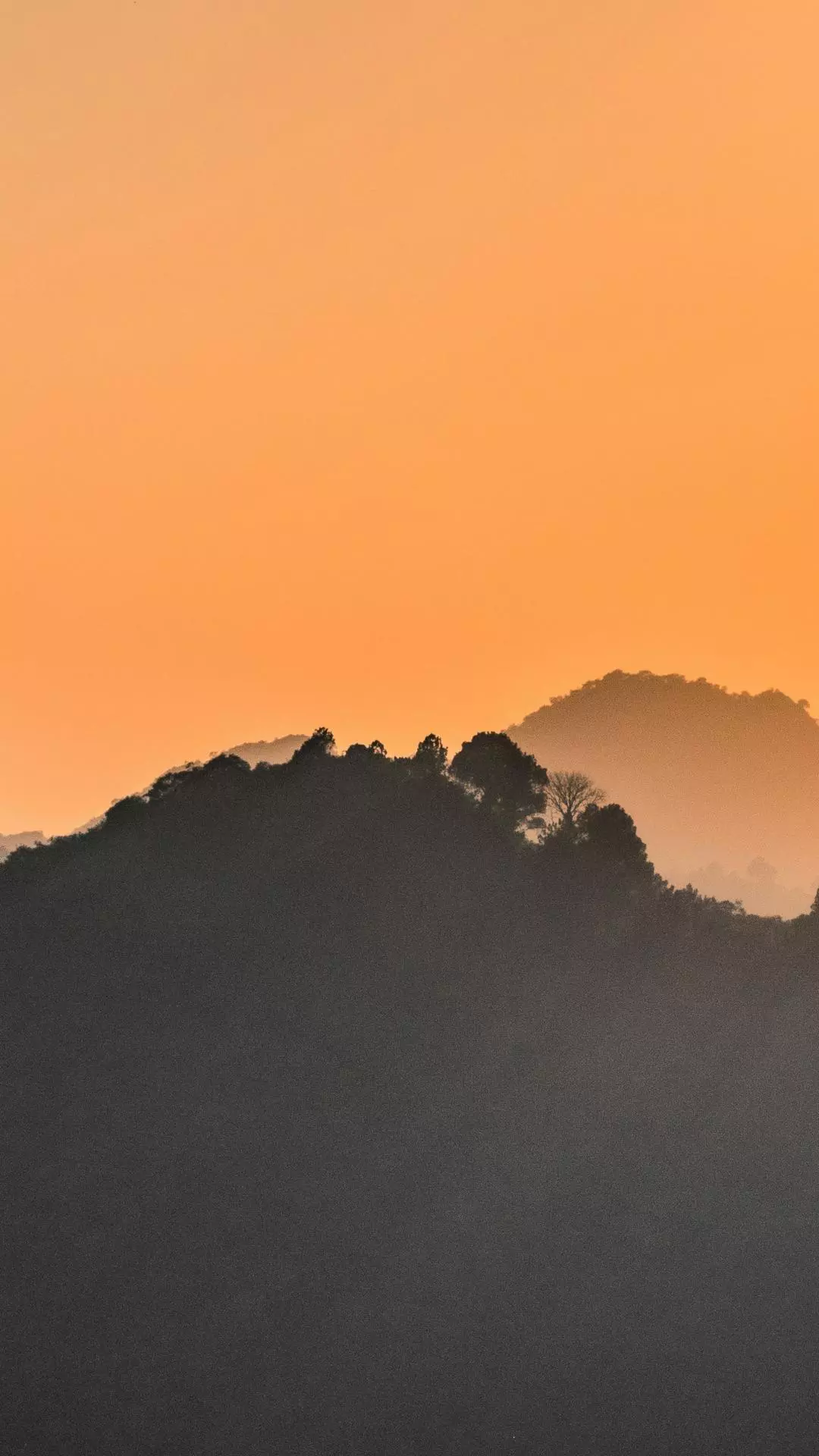 Landscapes