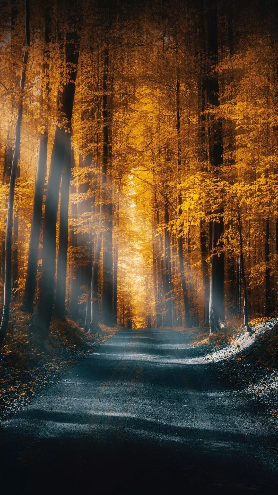 Wallpapers
