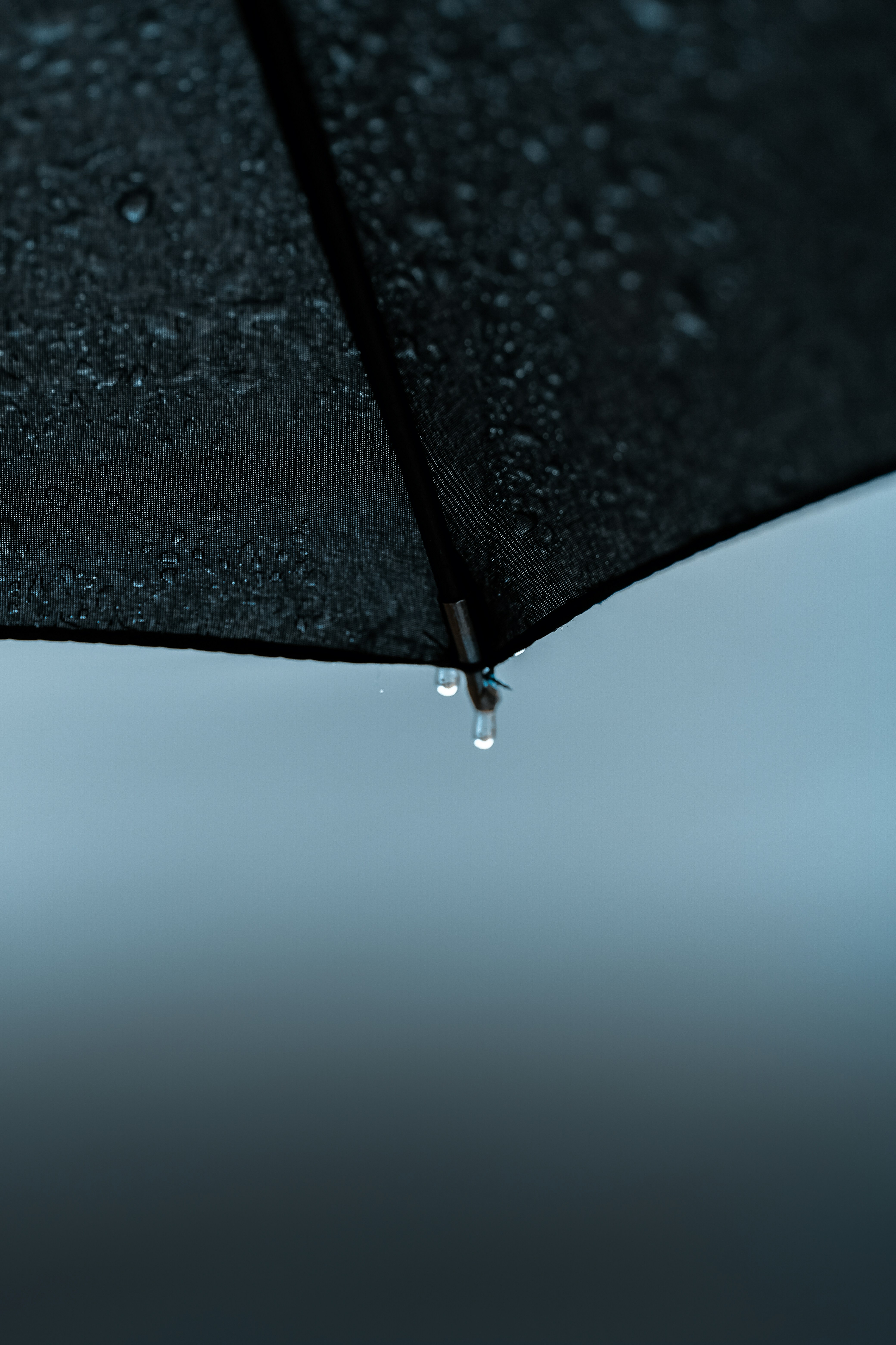 Raindrops on Black Umbrella