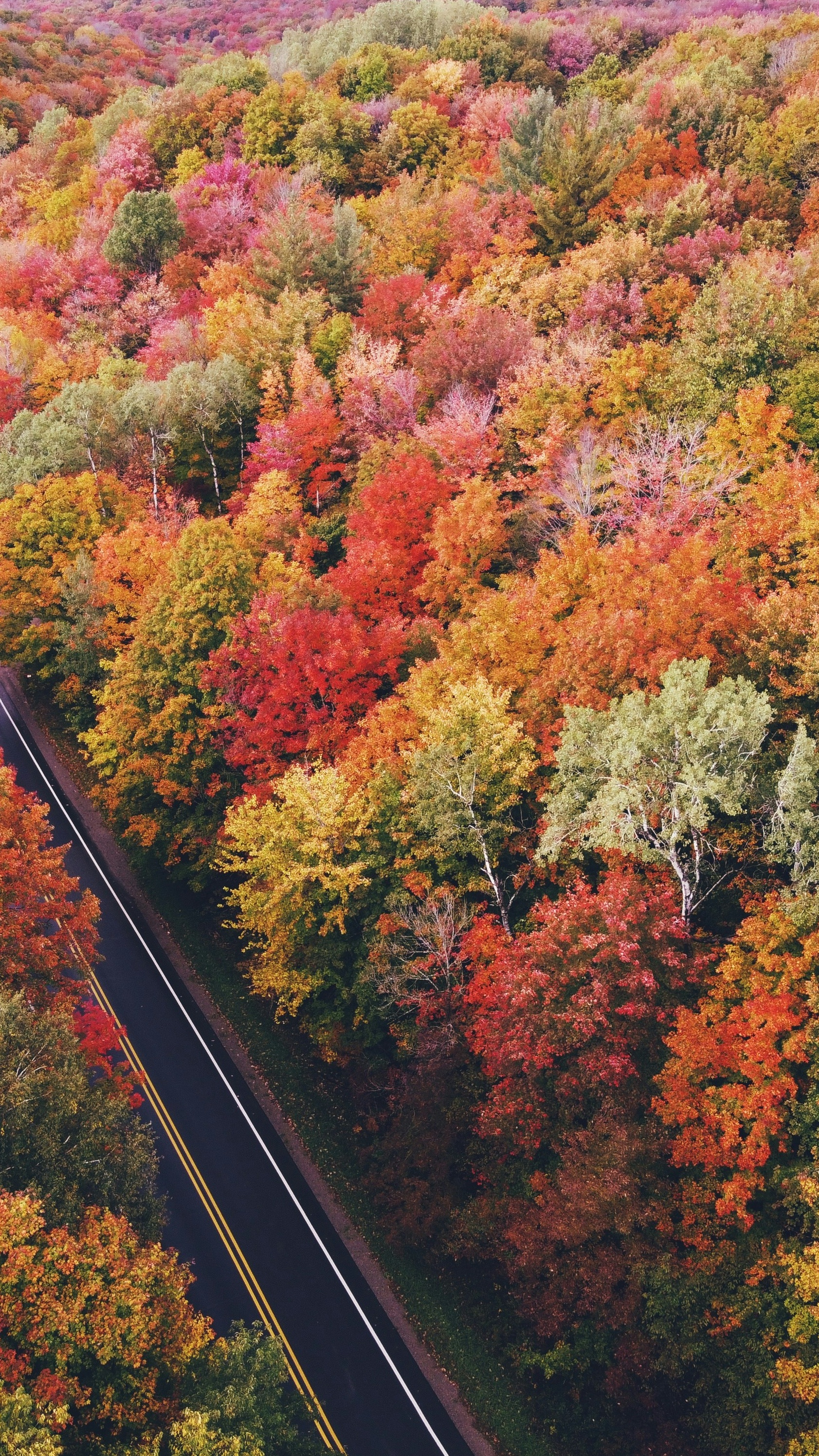 Wallpapers