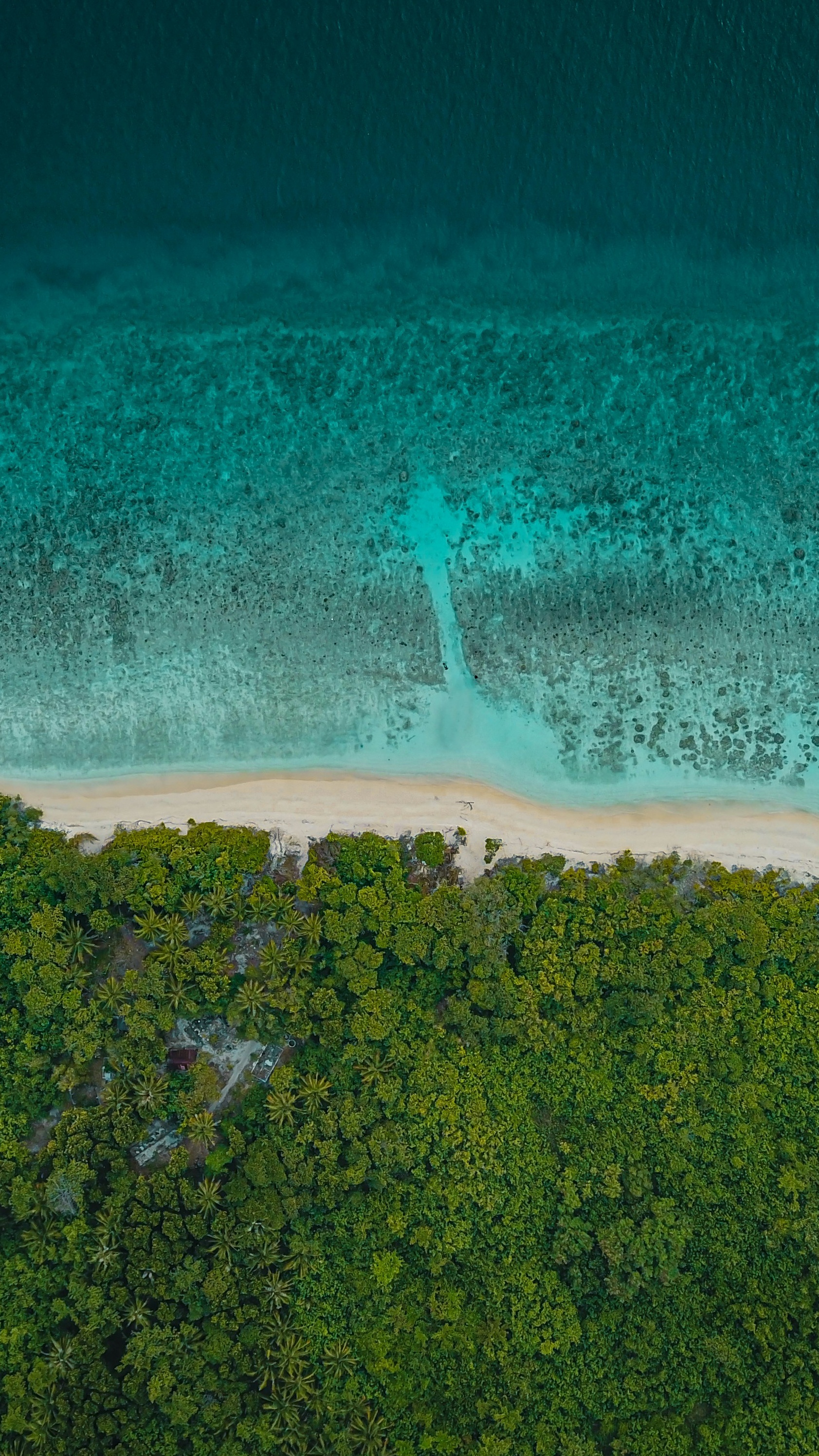 Wallpapers