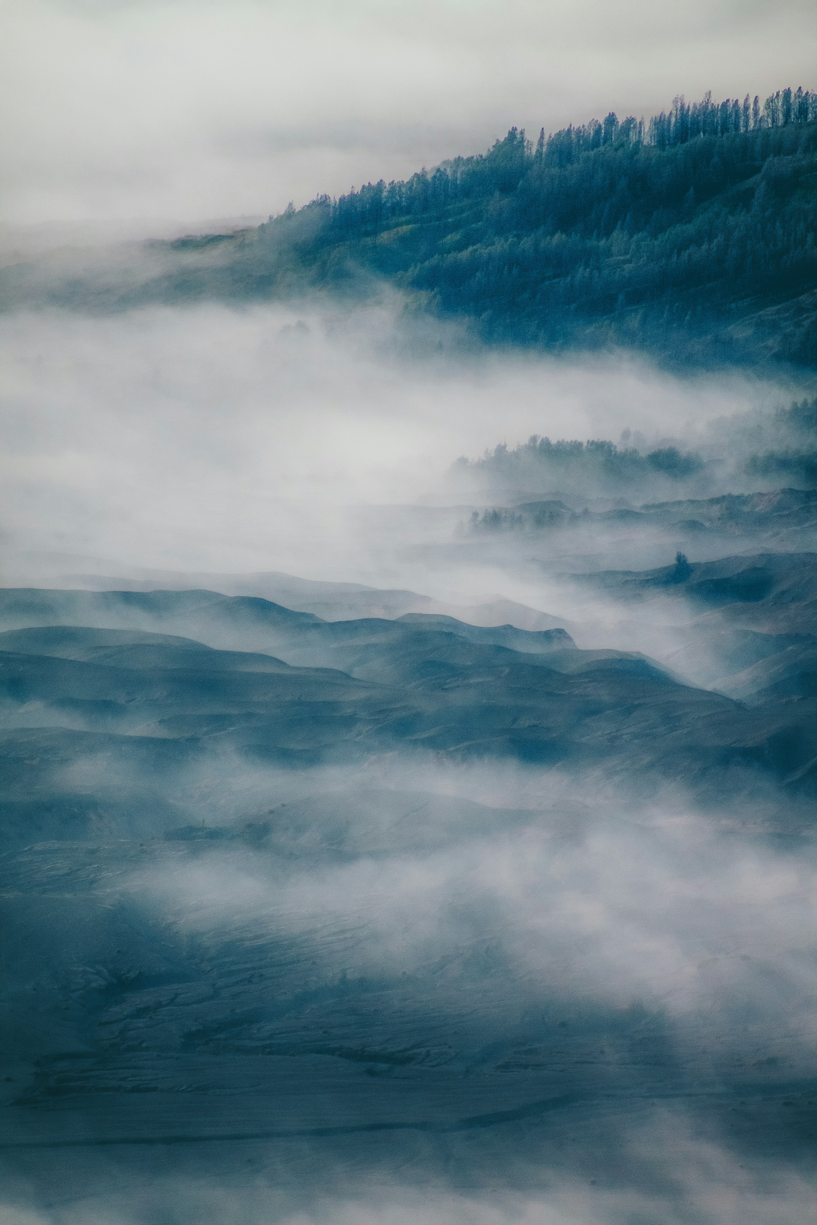 Misty Mountain Forest Landscape — Scenery