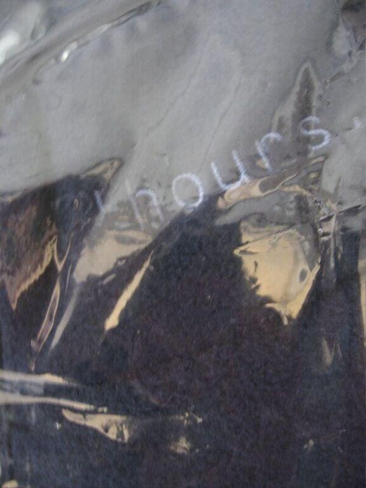 Handwritten Text on Fogged Car Window