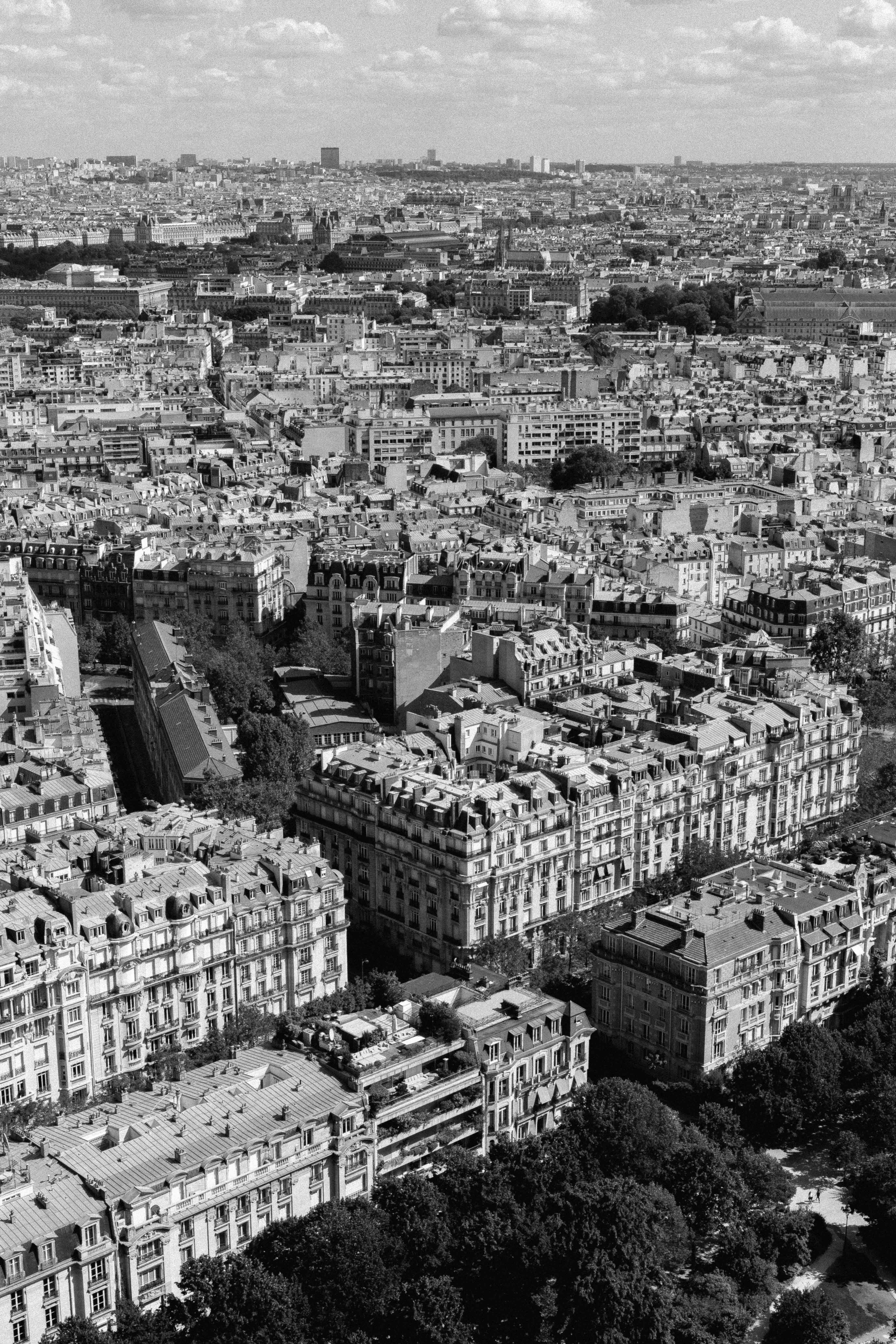 Black and White Paris Aerial View